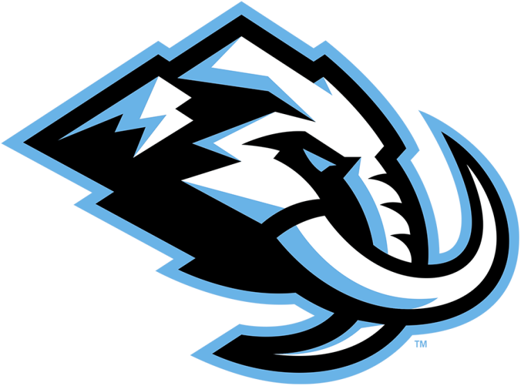 A stylized logo of an eagle's head inside a diamond-shaped outline, featuring black, white, and light blue colors.
