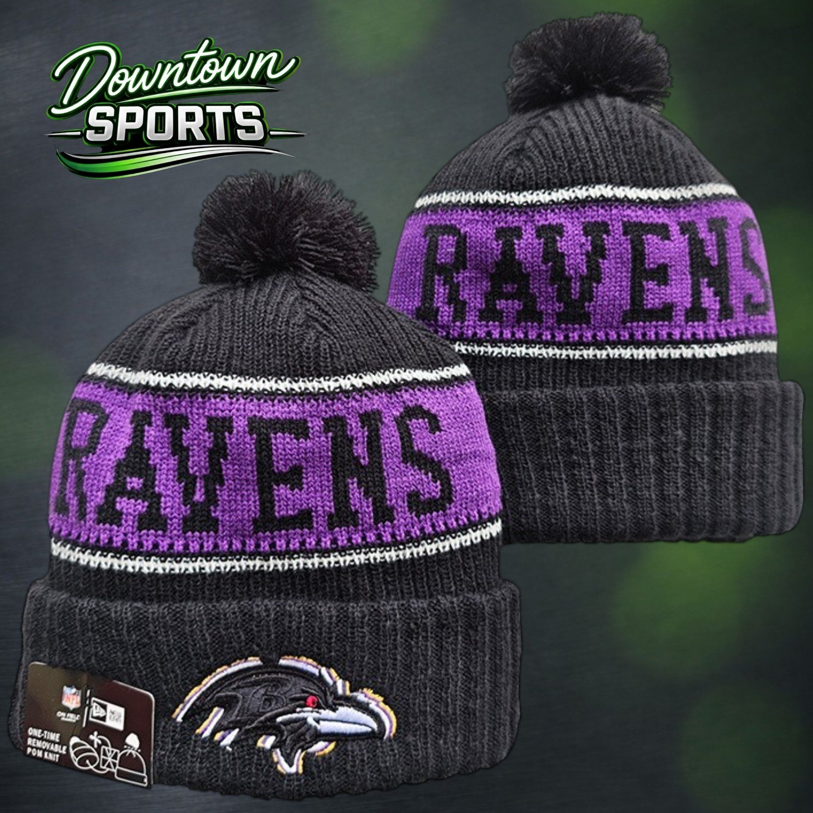 ravens 3.jpg