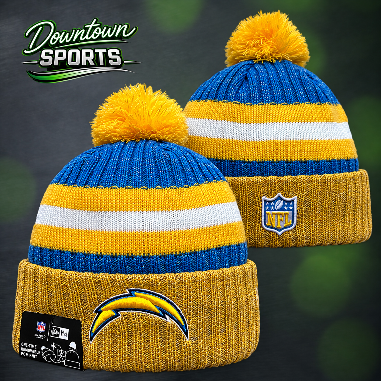 chargers 1.png