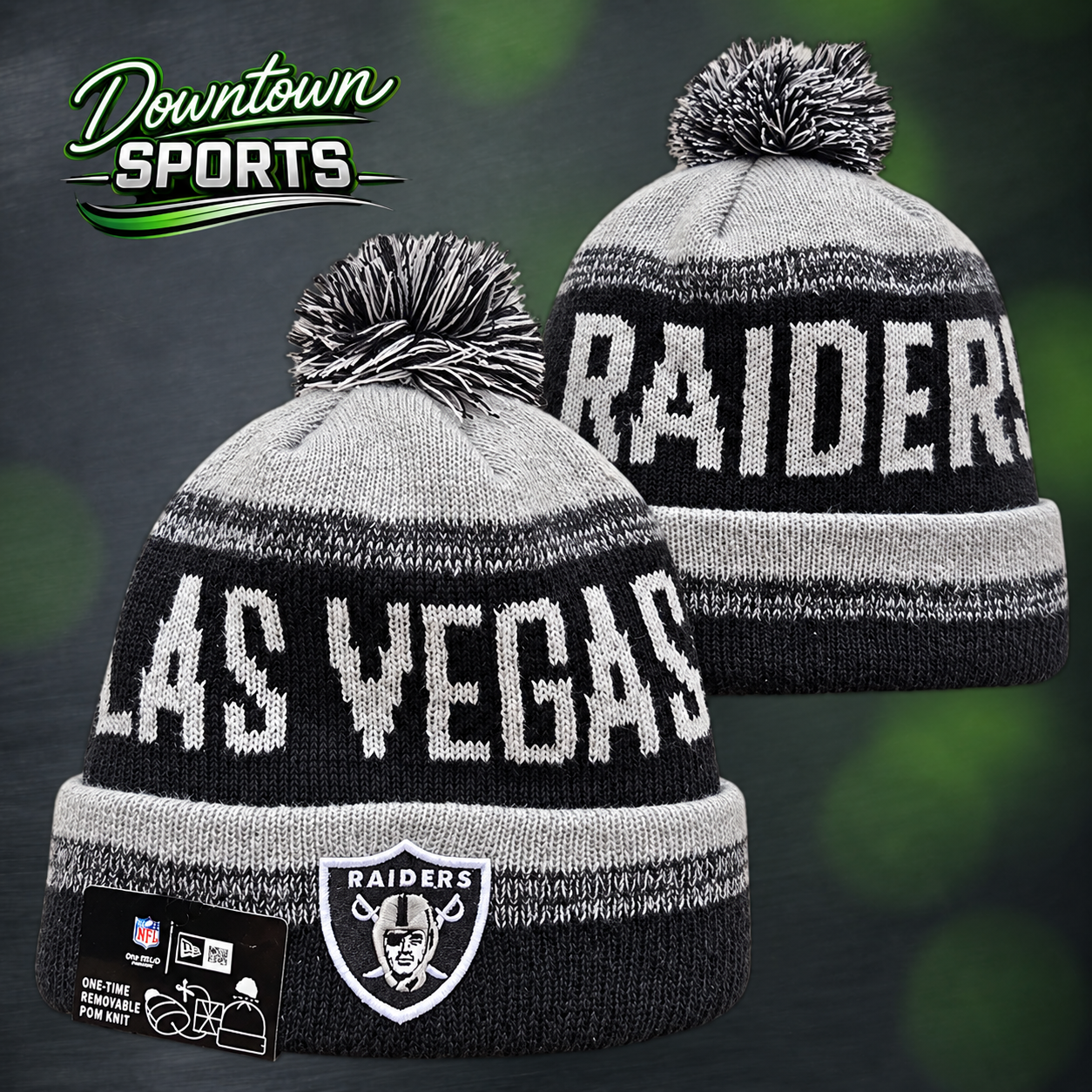 raiders 5.png