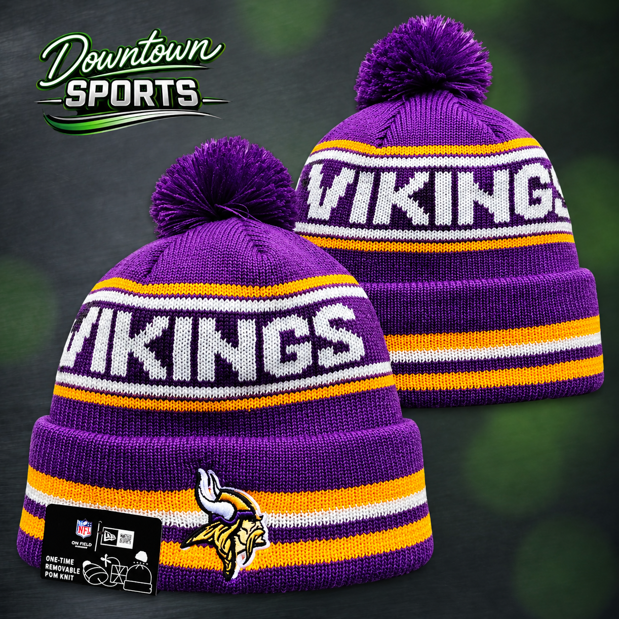 vikings 6.png