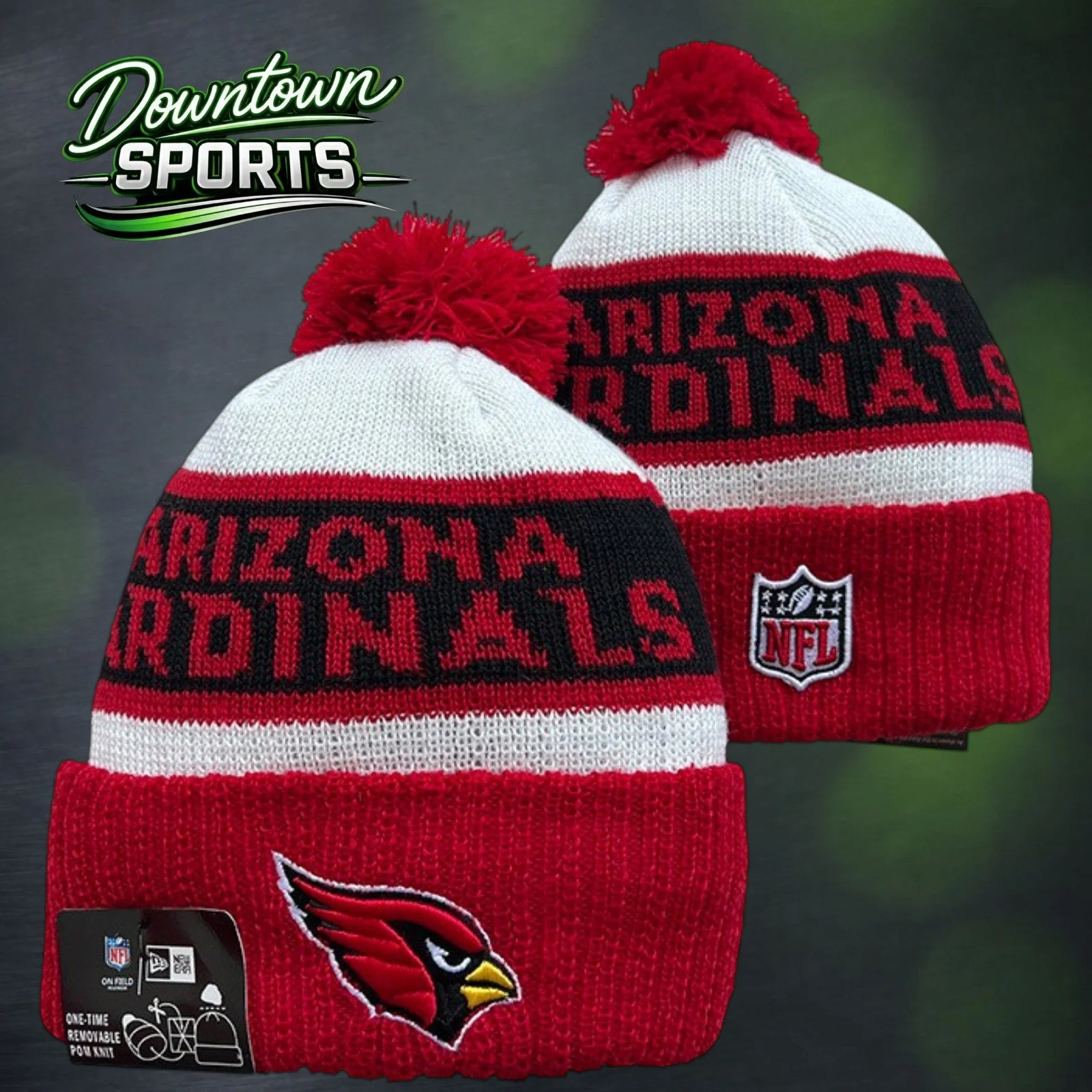 Cardinals 4.jpg