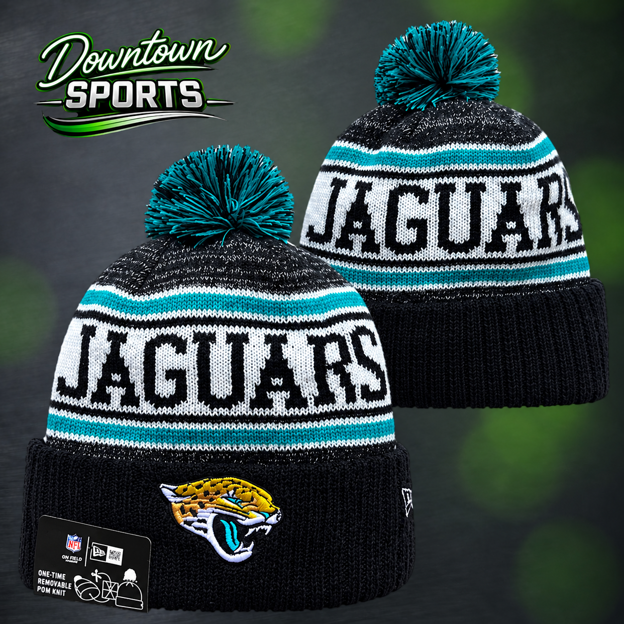 jaguars 3.png