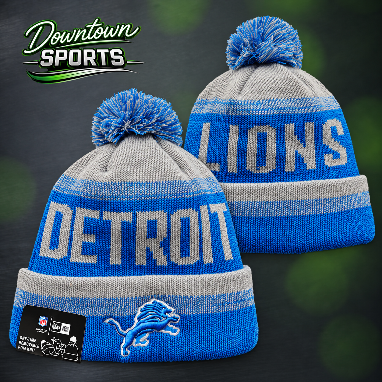 lions 5.png