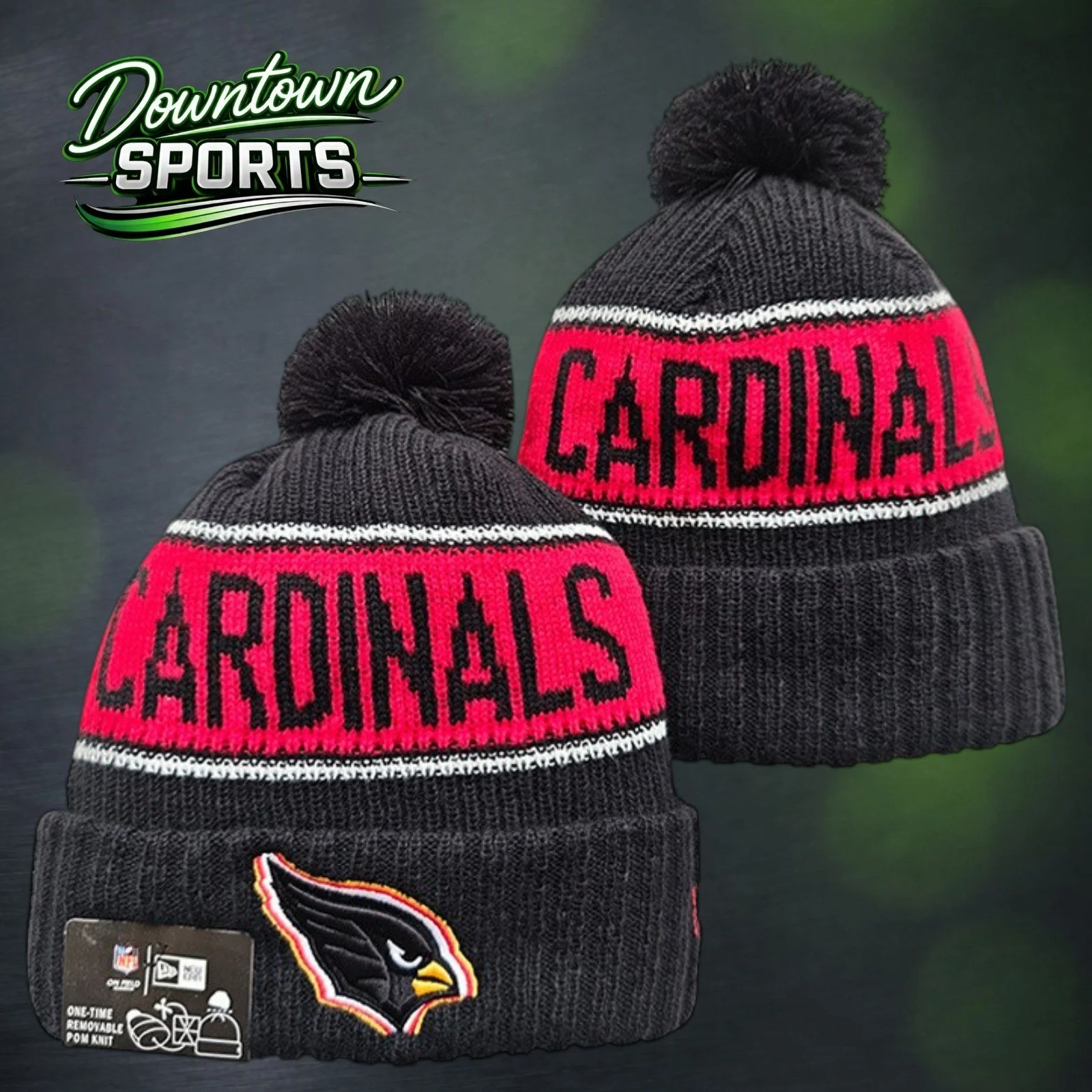 Cardinals 1.jpg