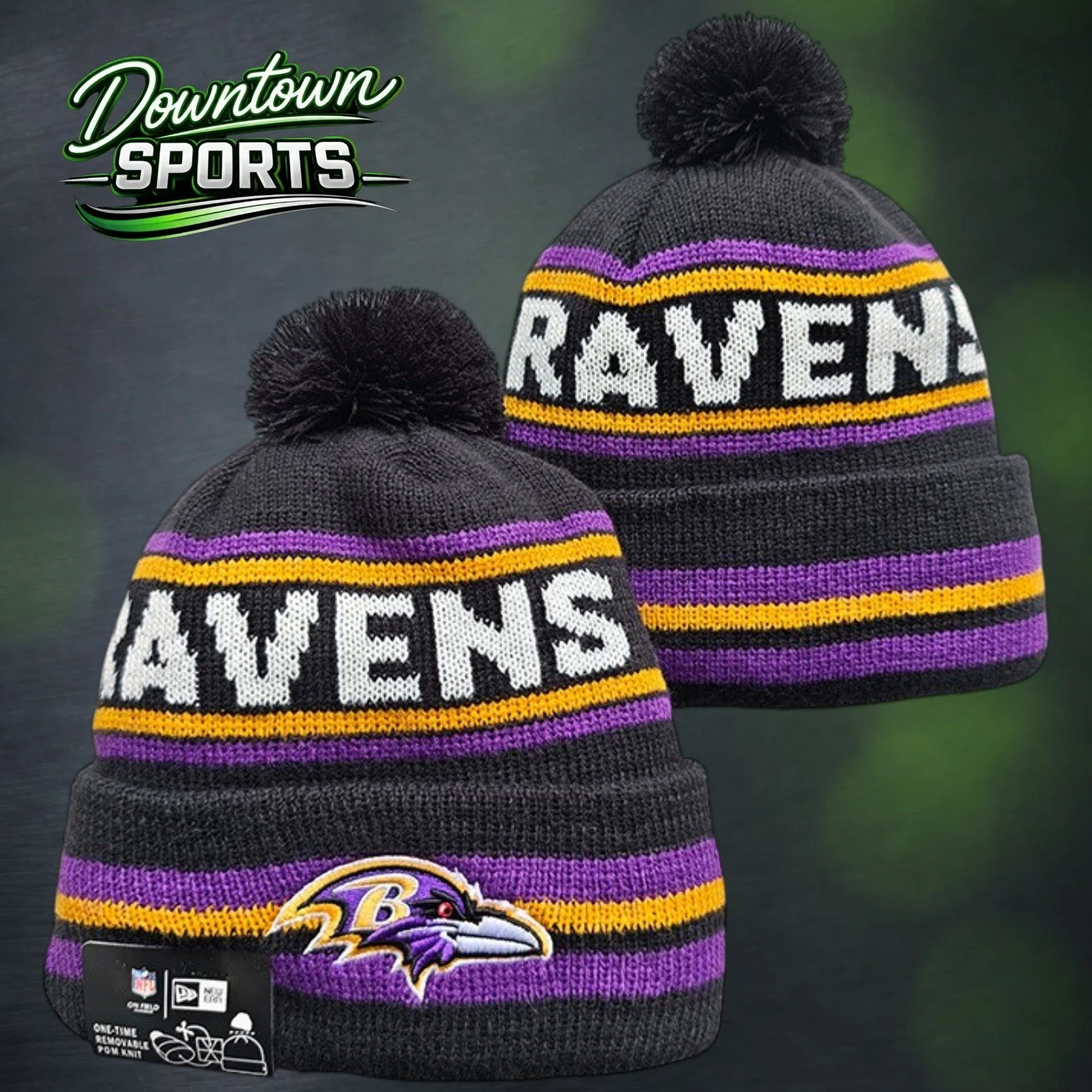 ravens 4.jpg