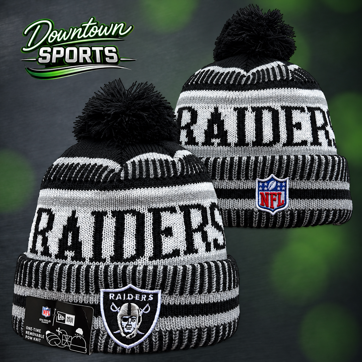 raiders 11.png