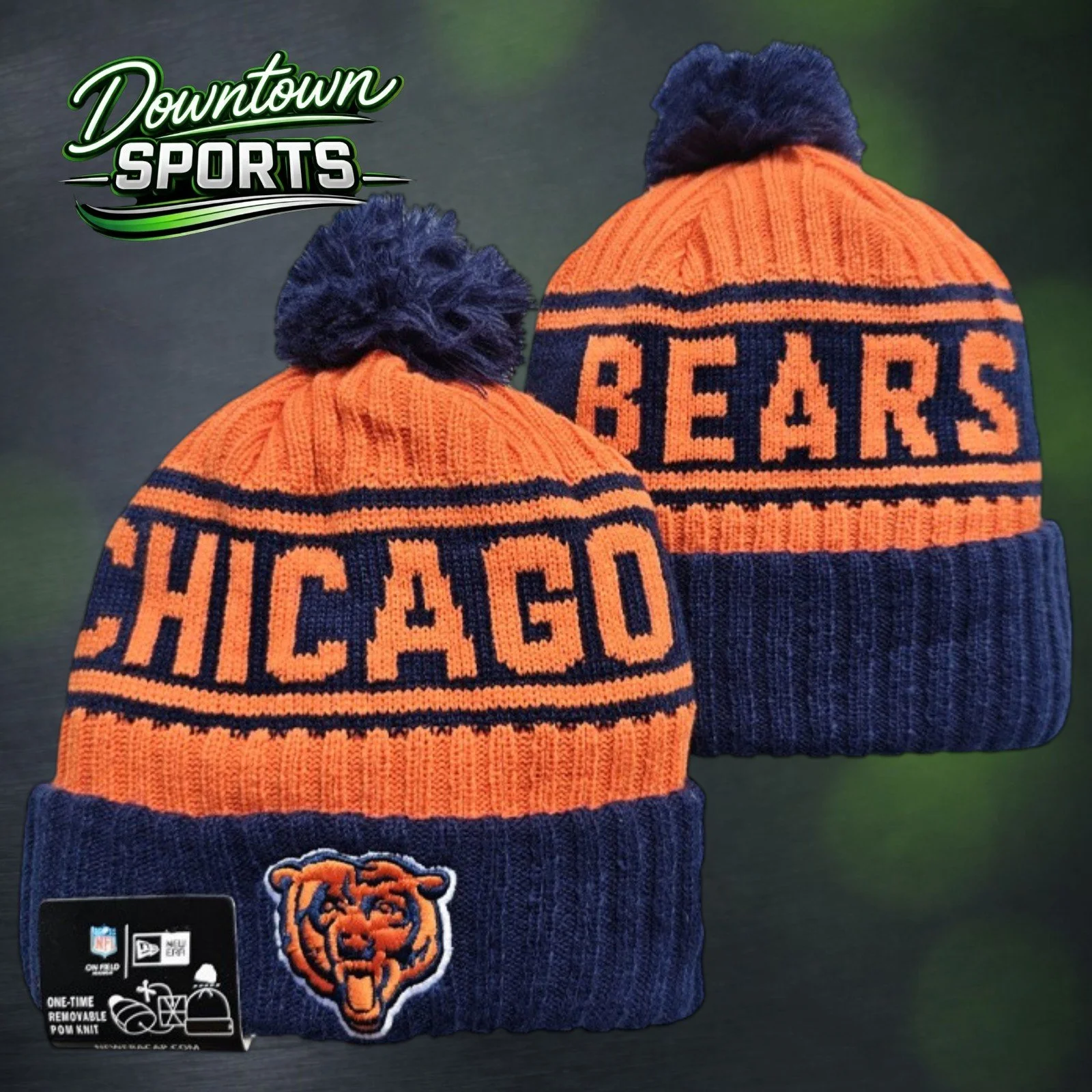 Bears 8.jpg