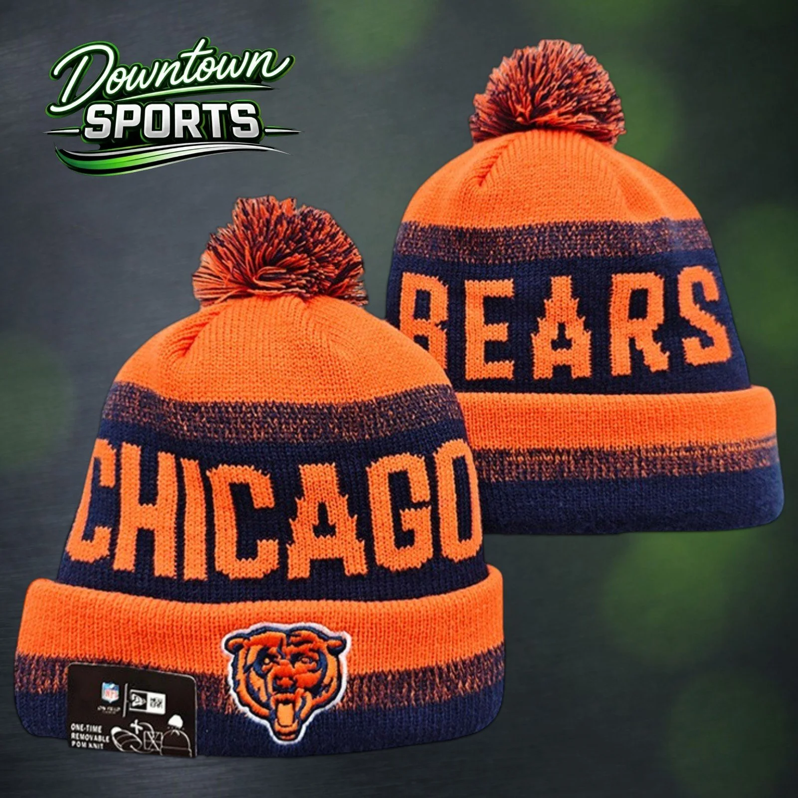 Bears 4.jpg
