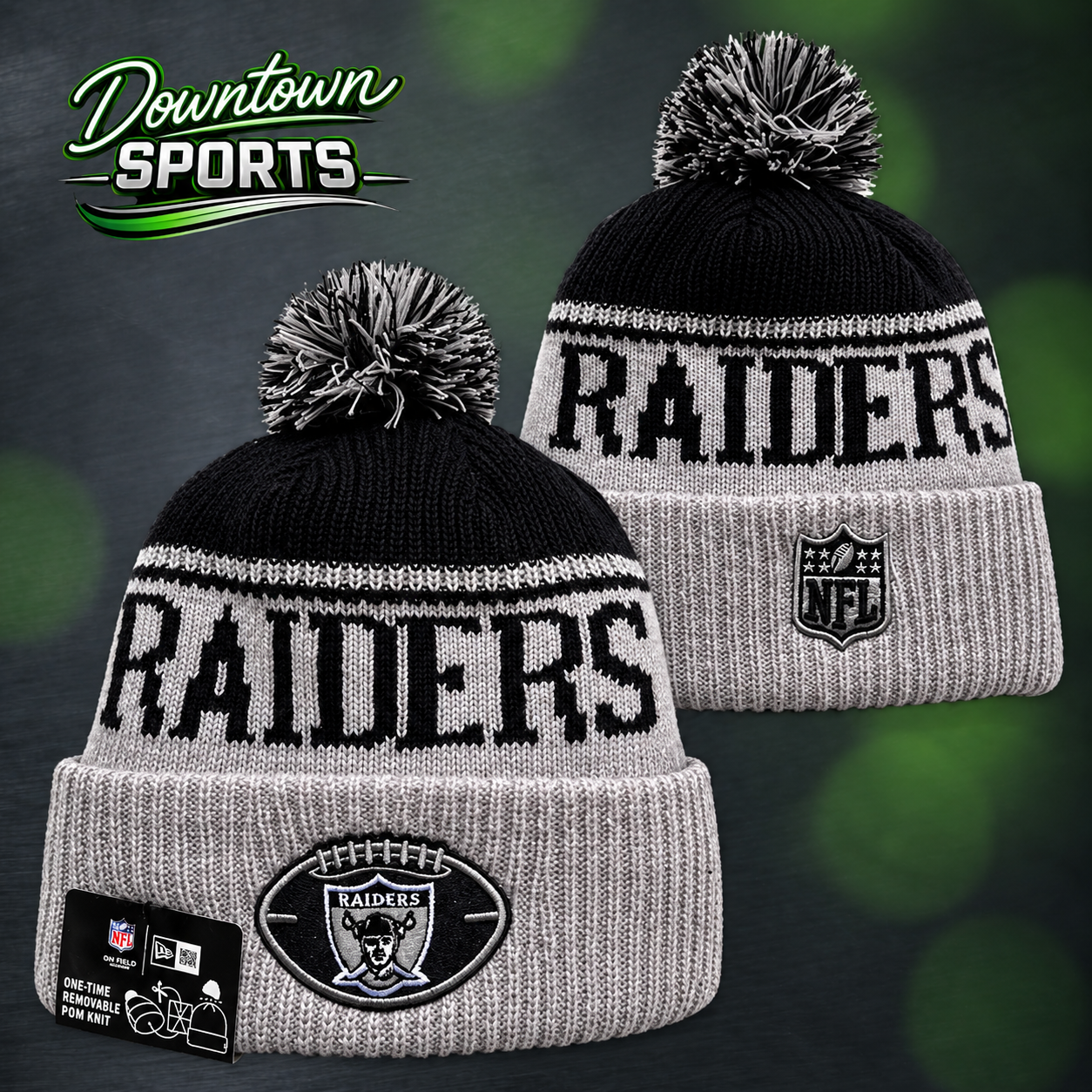 raiders 1.png