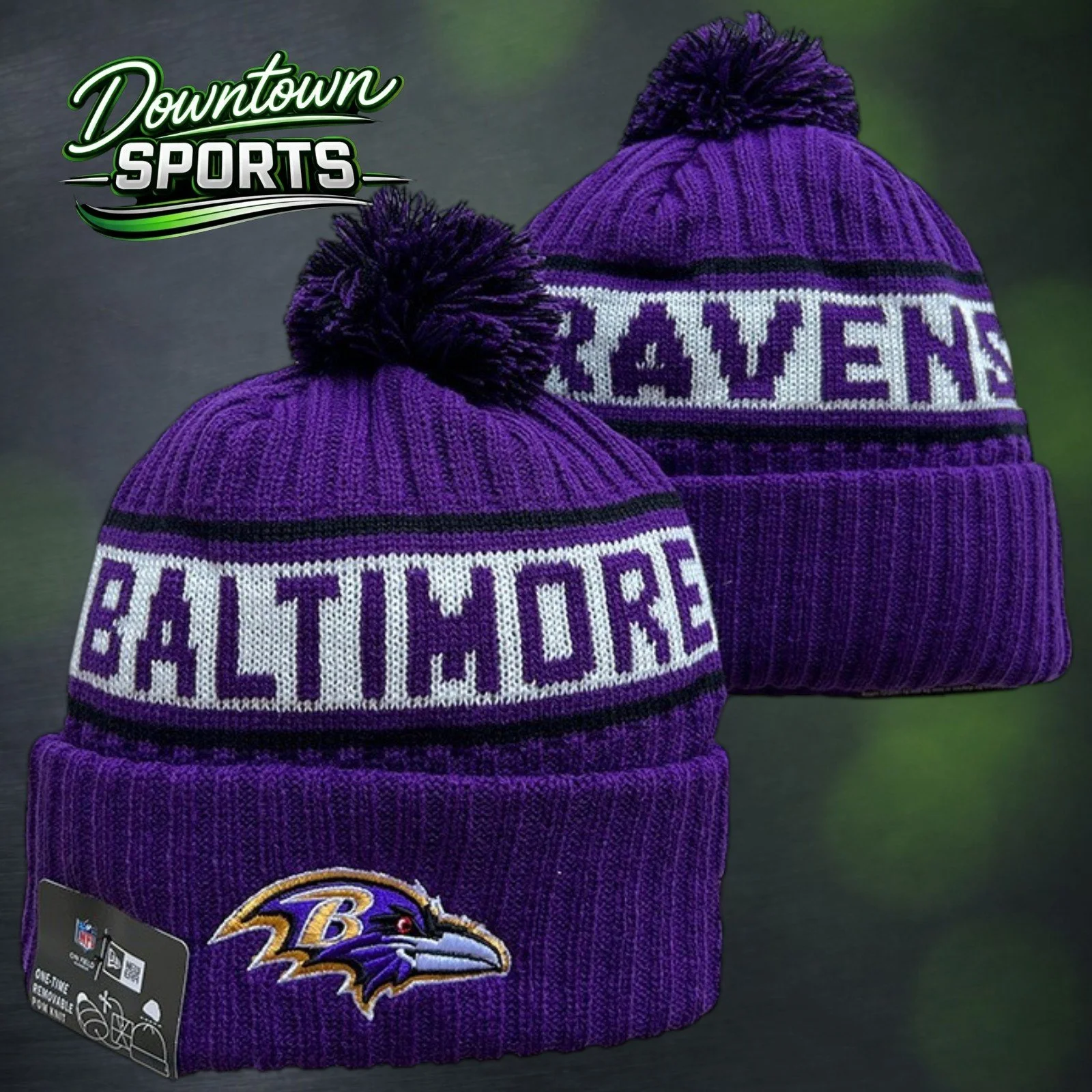 ravens 8.jpg