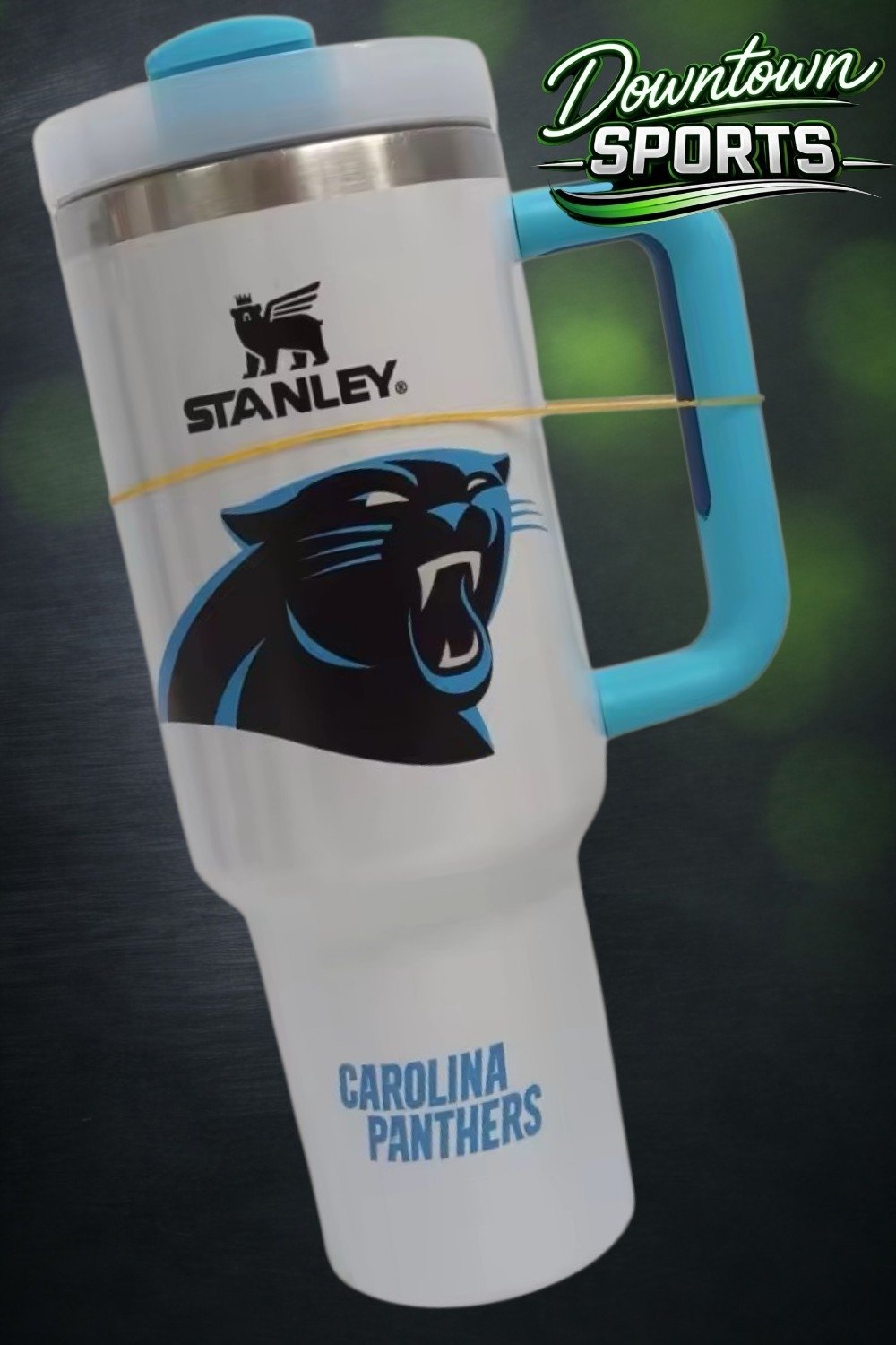 Carolina Panthers Official Stanley x NFL Team Tumbler