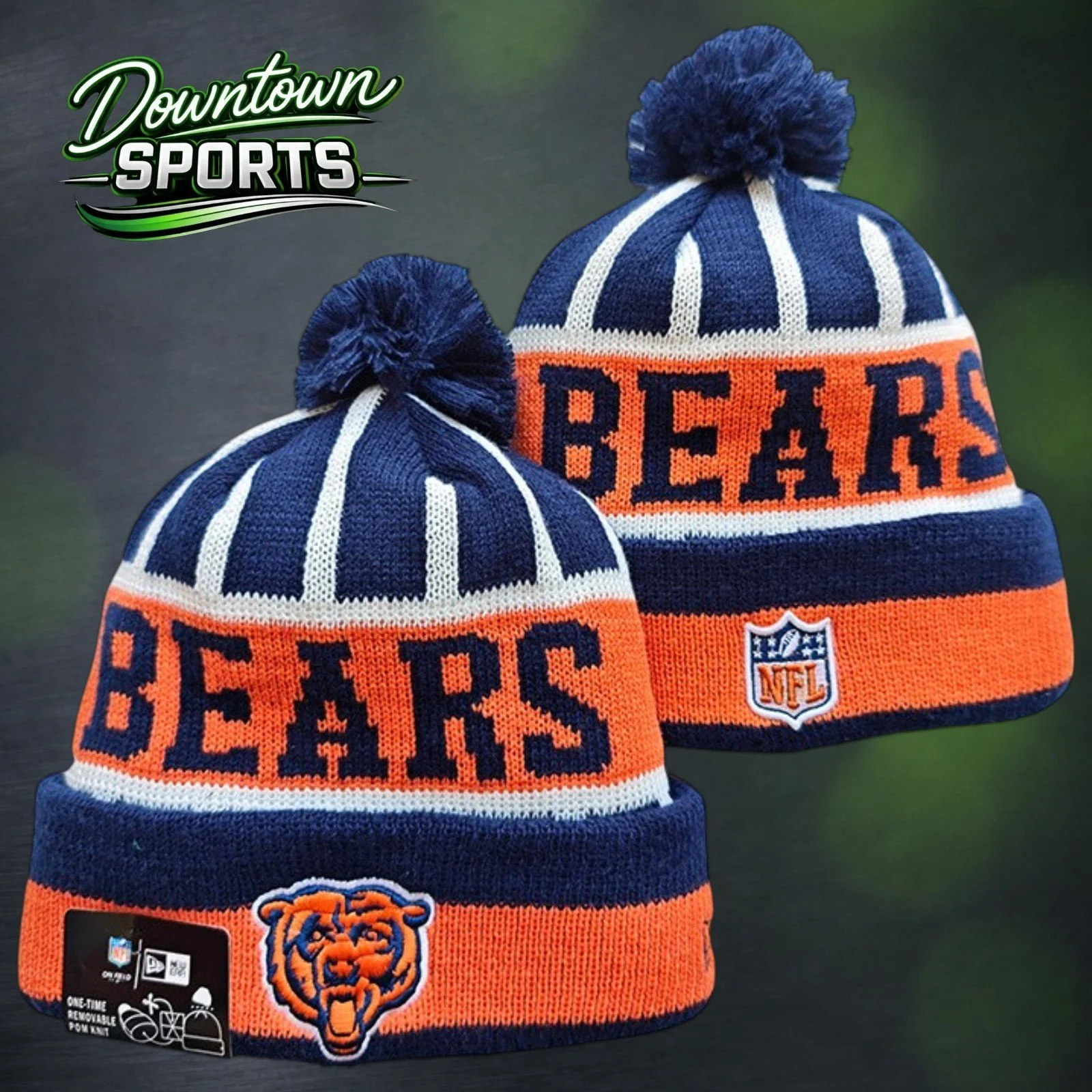 Bears 11.jpg