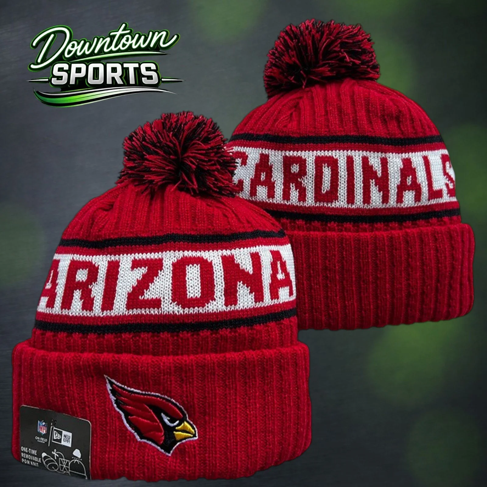 Cardinals 6.jpg