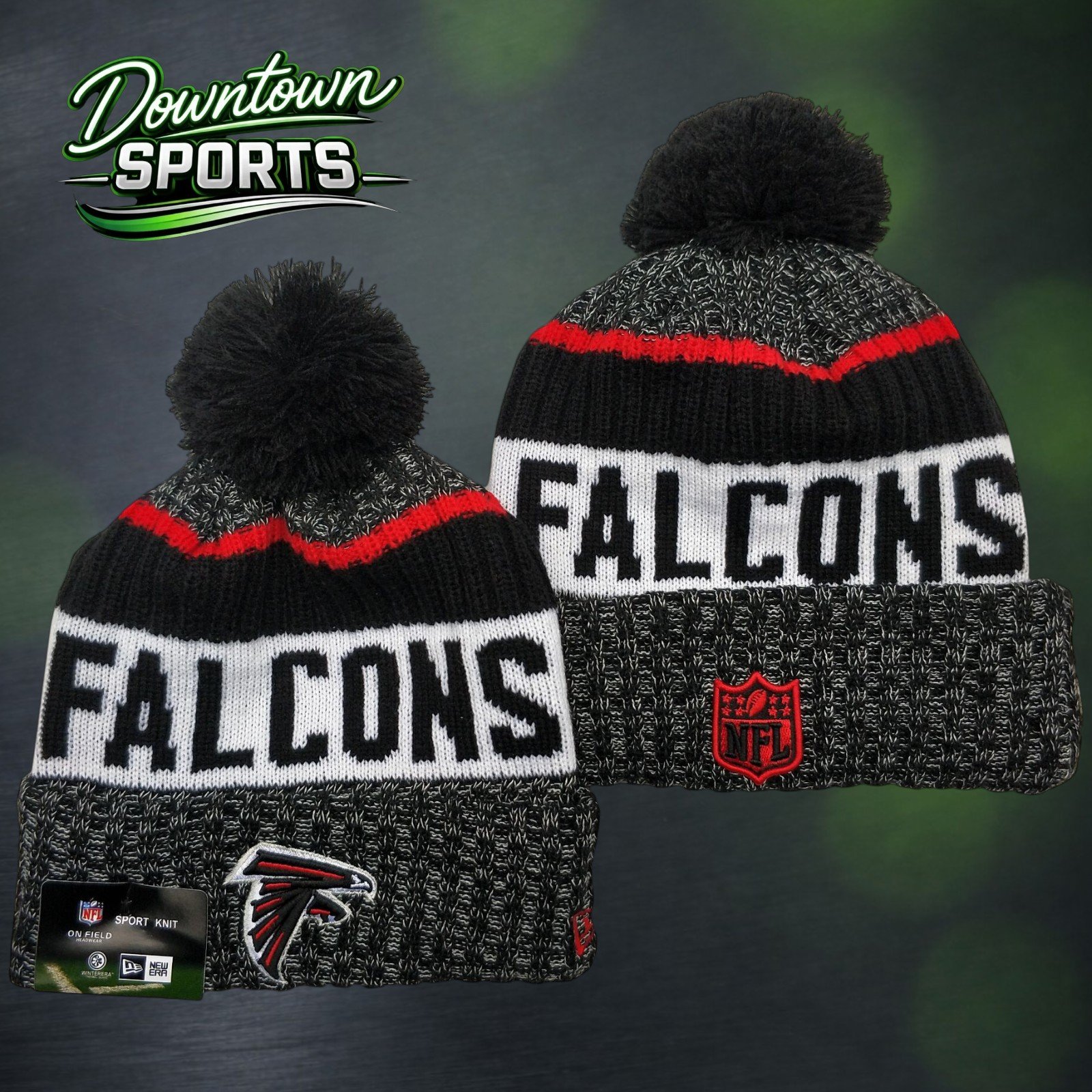 Falcons 5.jpg