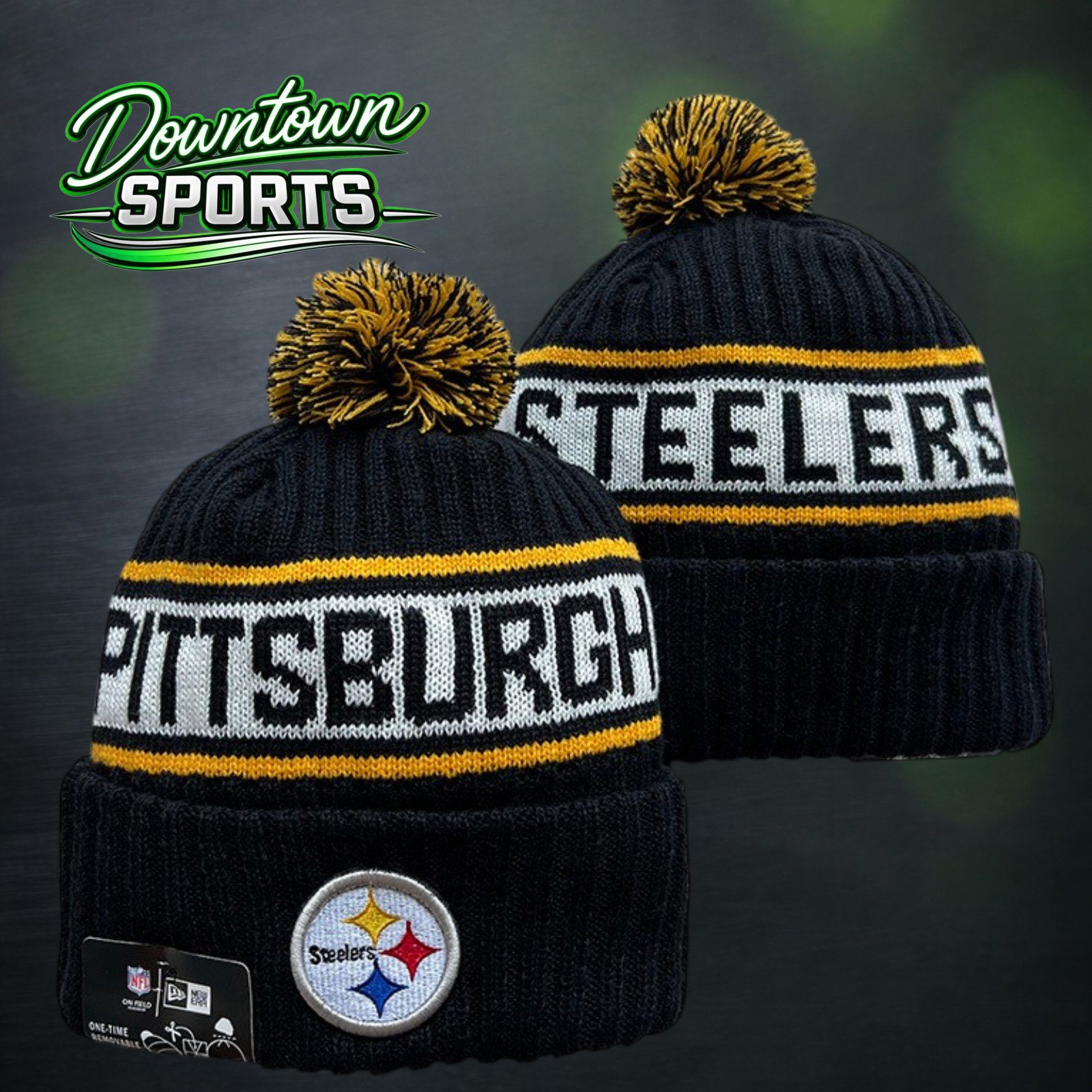 Steelers 1.jpg