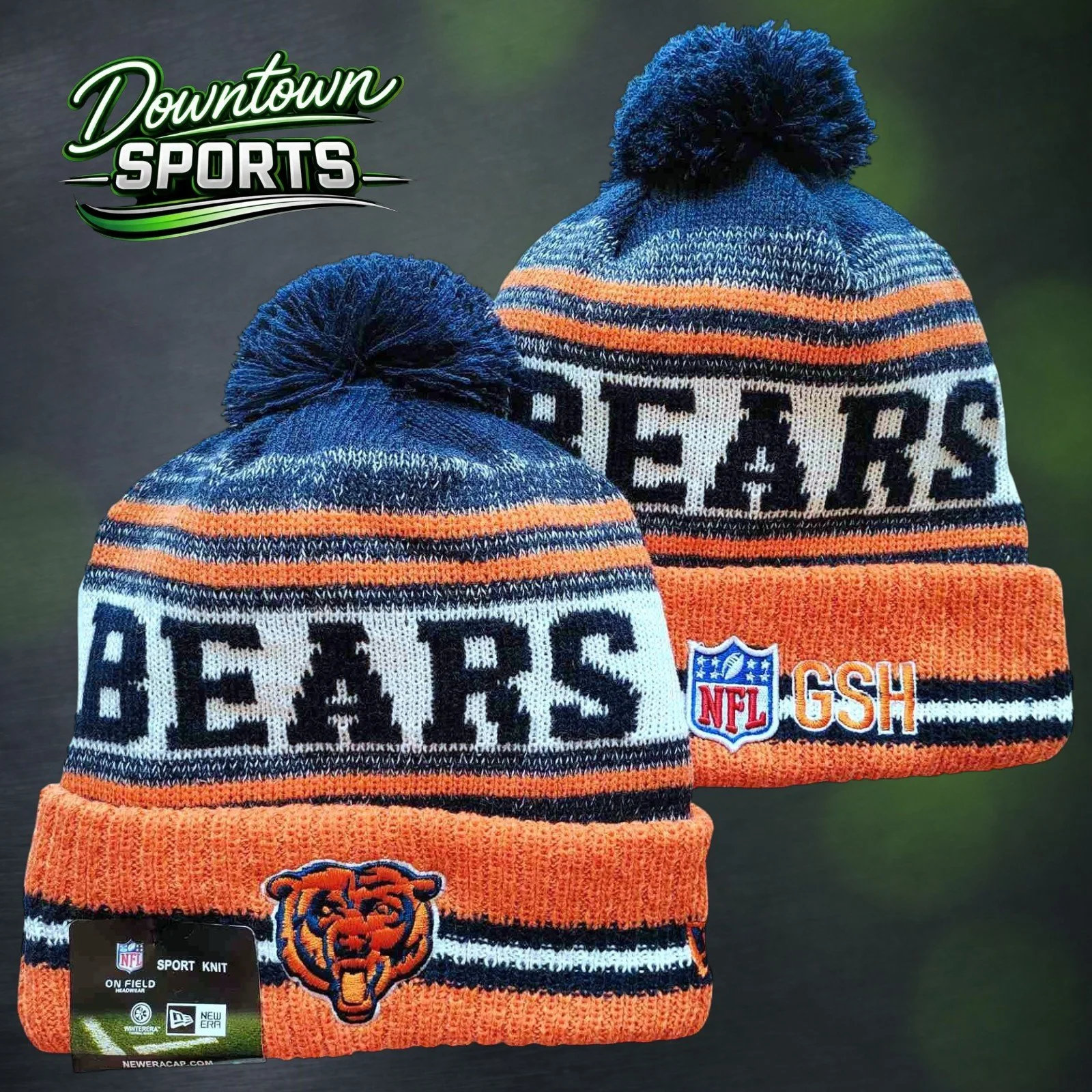 Bears 10.jpg
