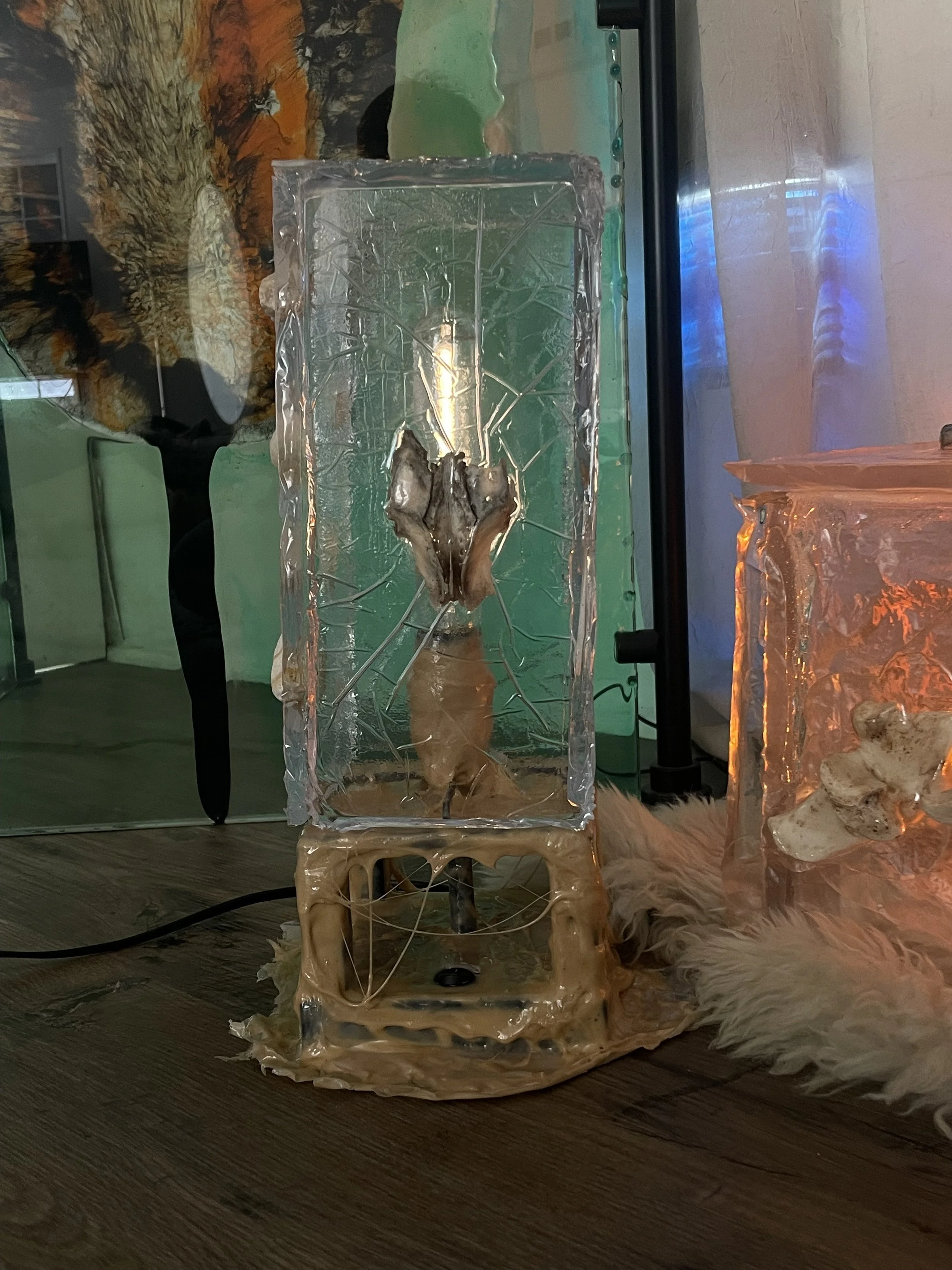 A small animal, possibly a rodent, inside a resin container that doubles as a lamp.