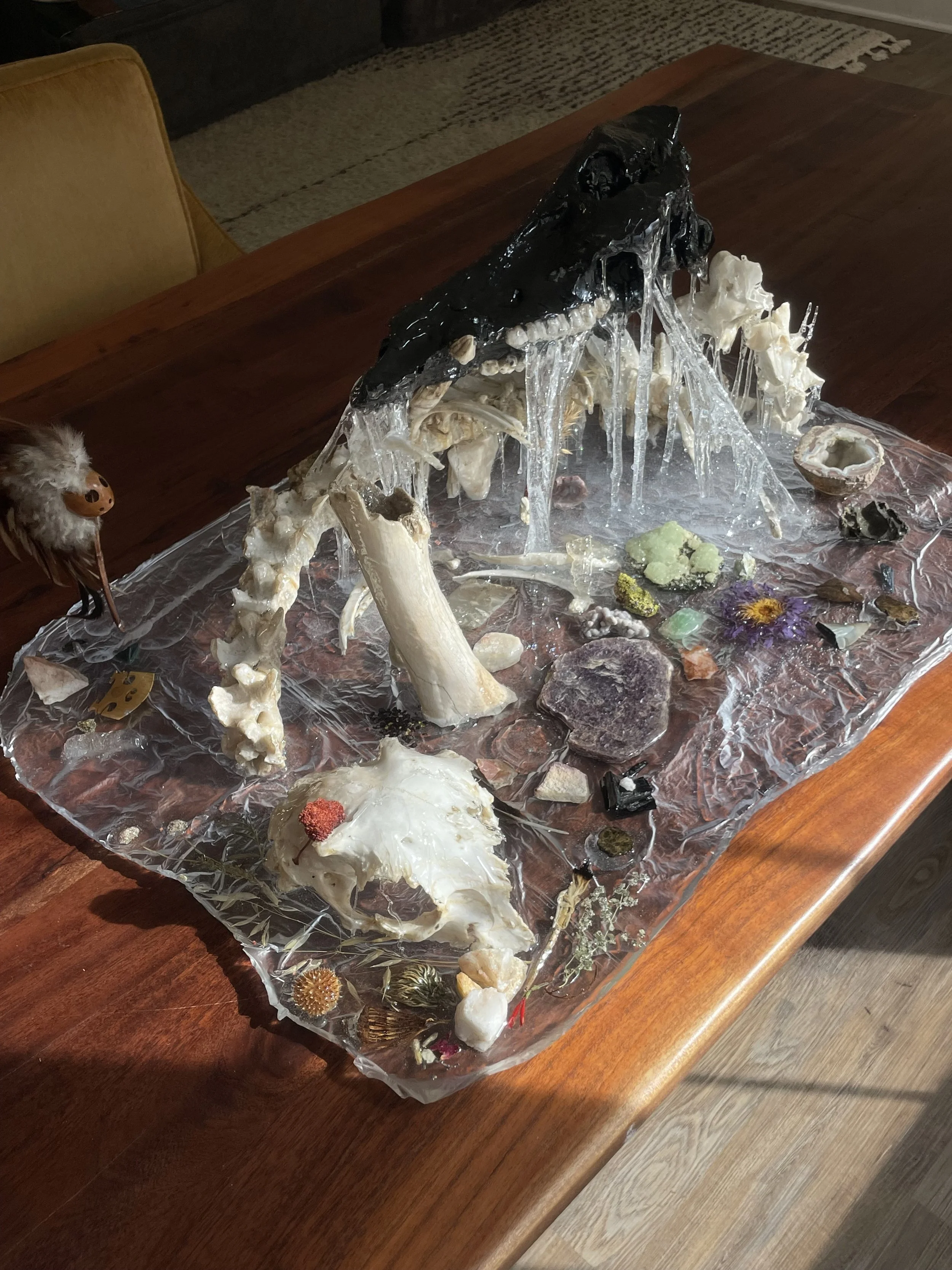 	
A mixed media art piece featuring hog bones, rocks, plants, and a bird figurine, all encased in clear resin on a wooden table near a window.
