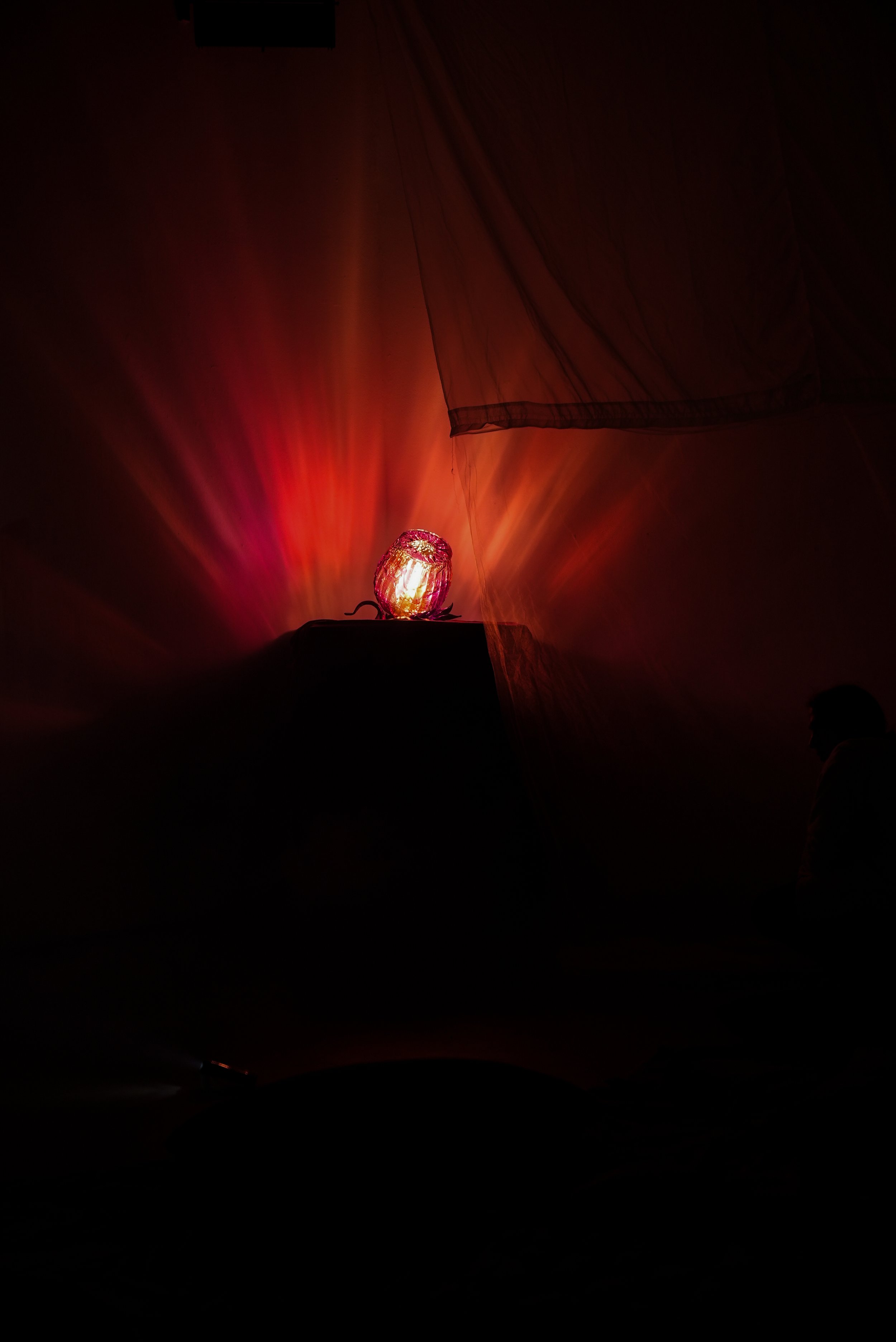 The Rose Lamp being shown at The Rose Room in Venice, CA