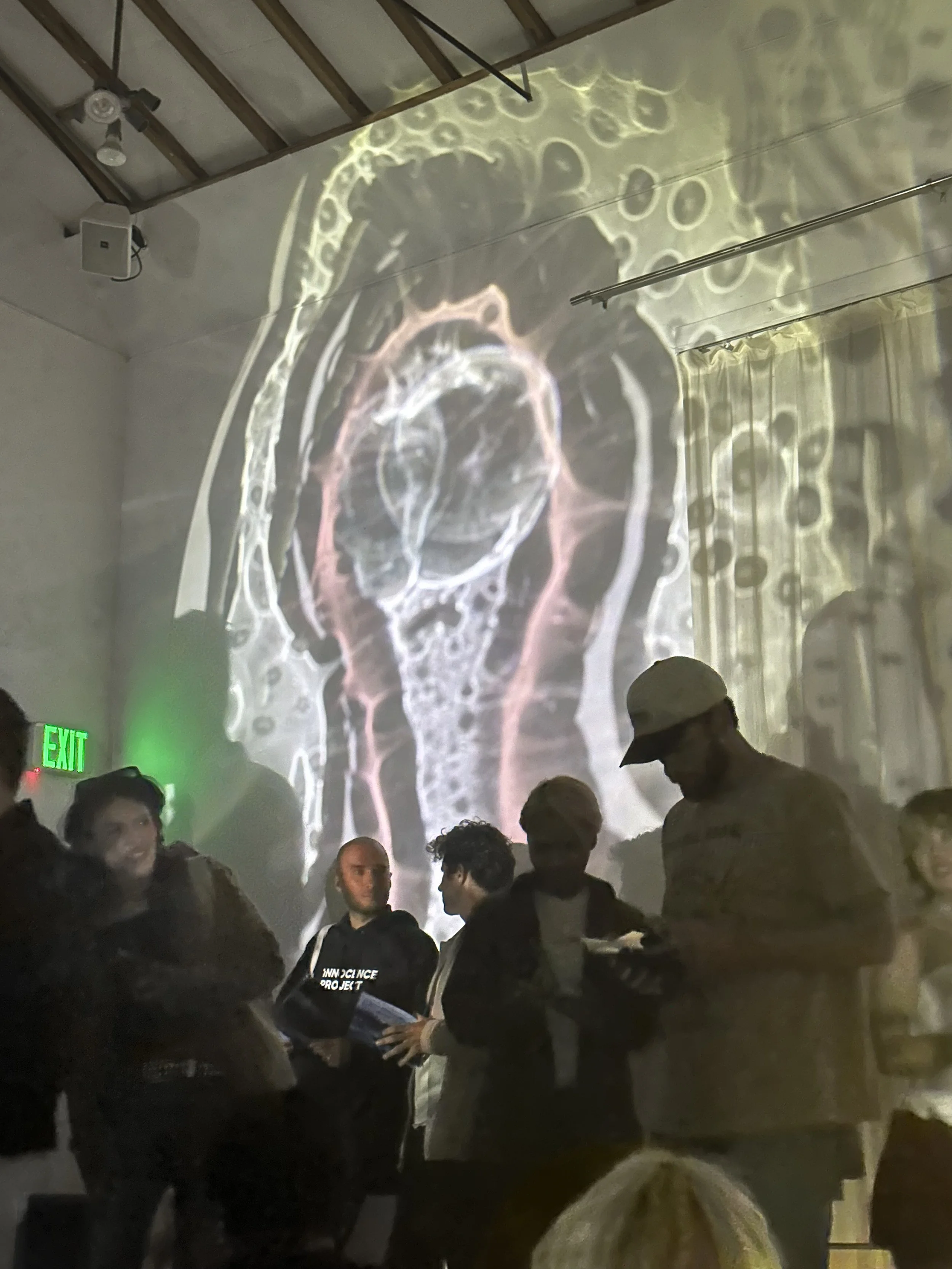 An art installation or projection of a human on a wall in a dimly lit room with a crowd of people, some holding papers or booklets, and a visible green exit sign.