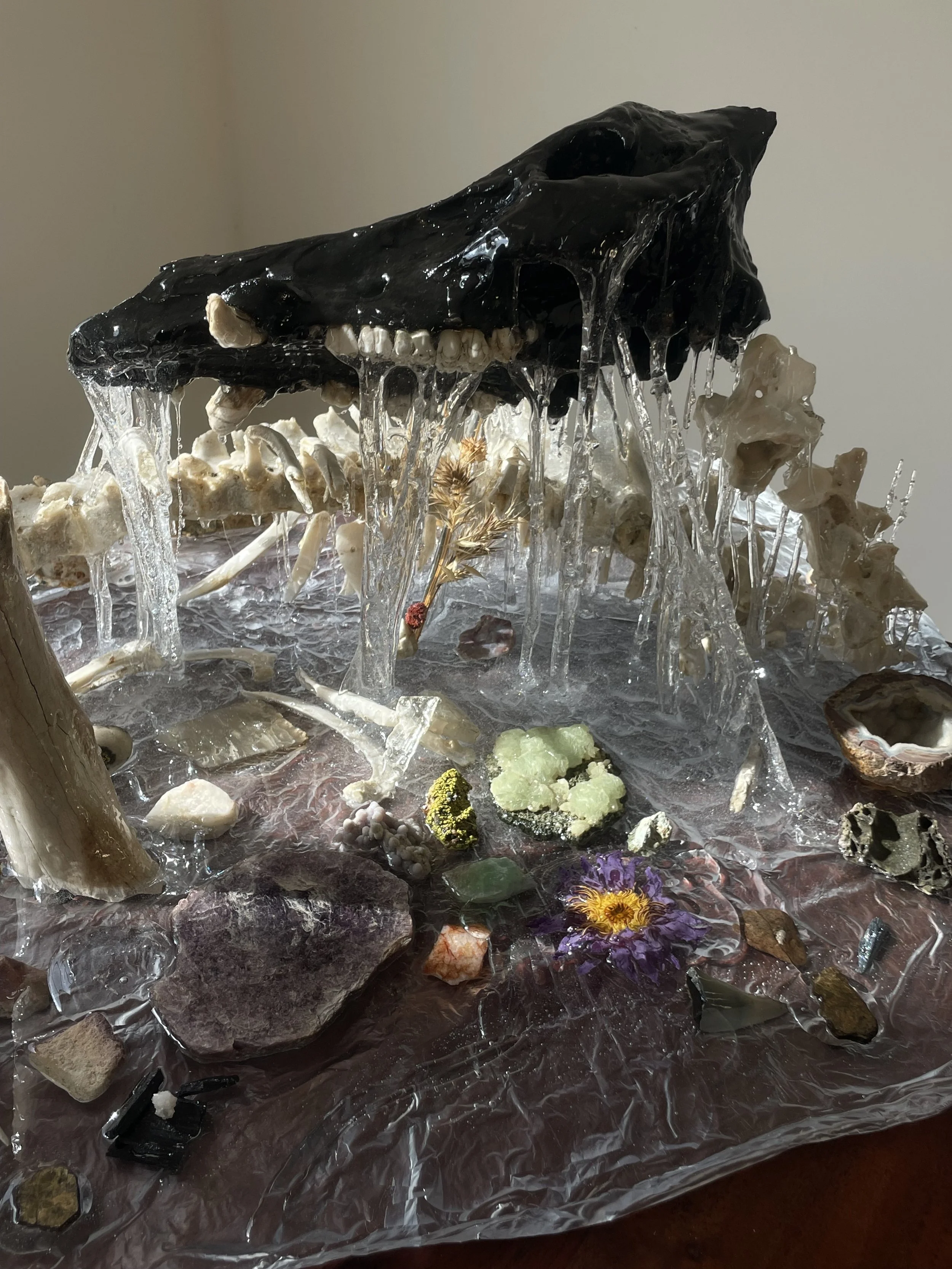 A skull and bones are covered with clear resin, with various small rocks, minerals, and flowers arranged around them on a surface covered with plastic wrap.