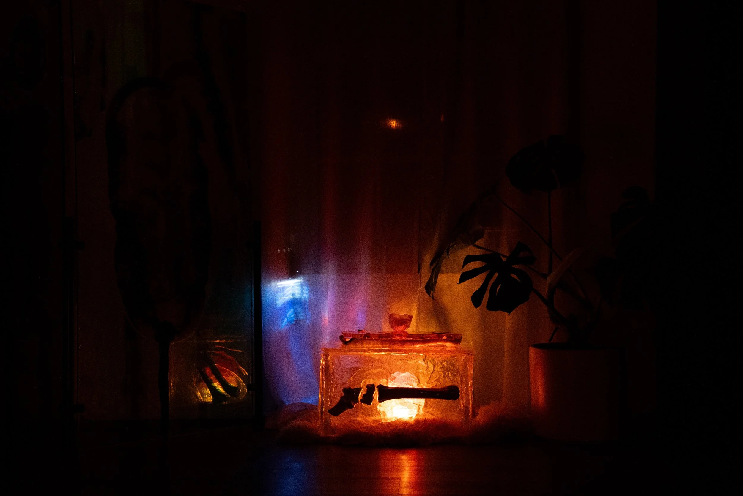 The Bone Box (W/ Bone Tray & Fireball Lamp) - $3,333
