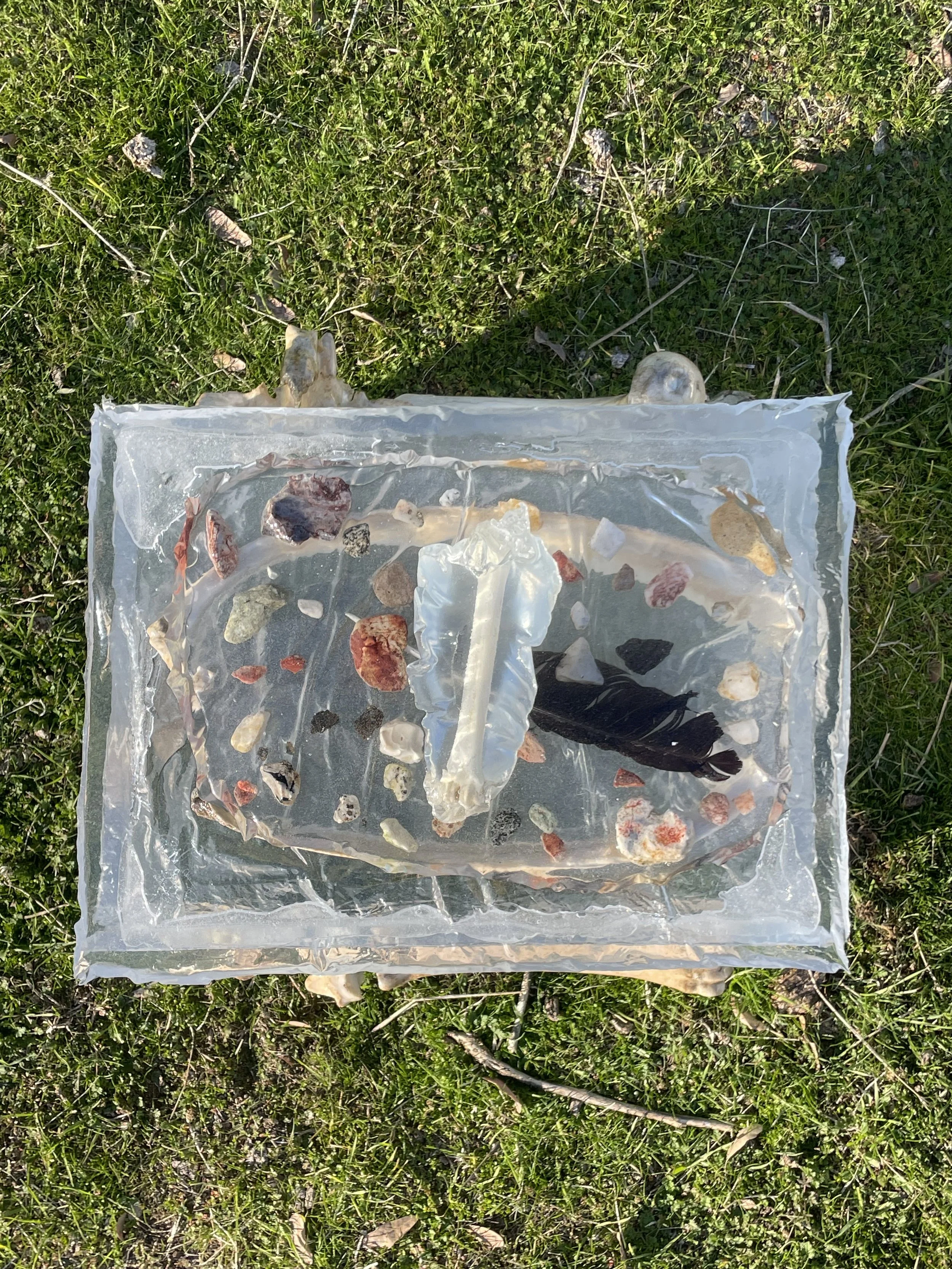 A glass-like resin box containing a black feather and a variety of small rocks or stones, placed on green grass outdoors.