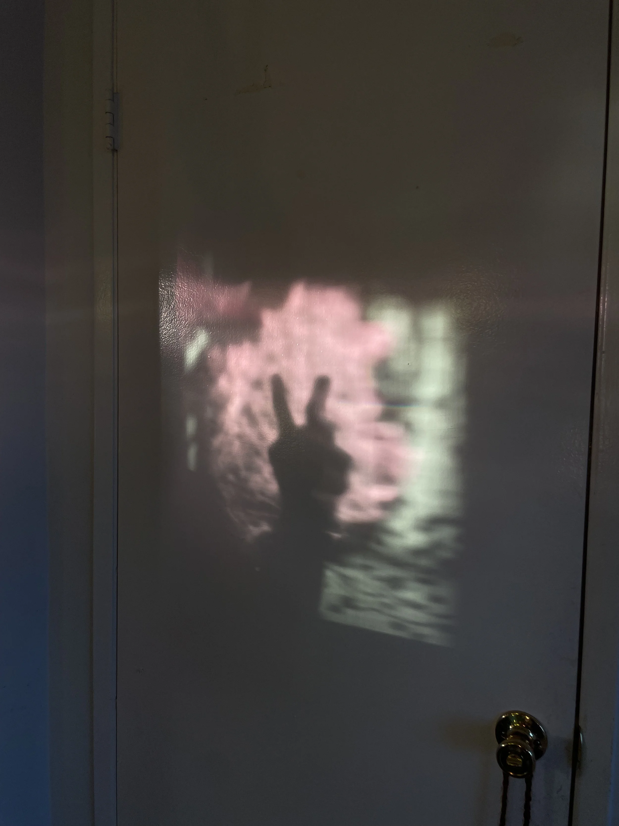 A shadow of a hand making a peace sign projected onto a wall with blurred pink flowers in the background.