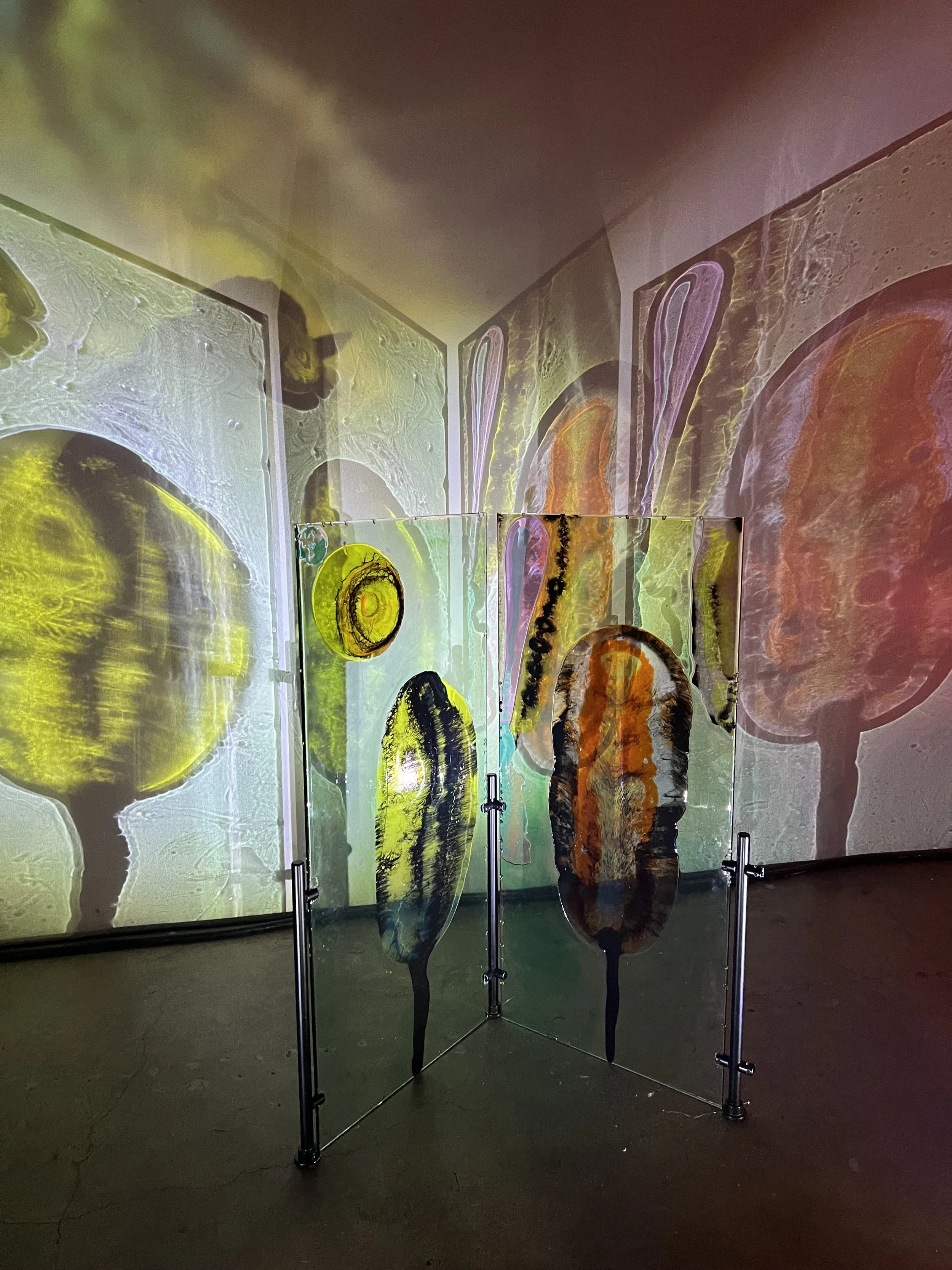 An art installation featuring colorful, abstract shapes resembling organic forms projected onto walls and a resin barrier in an indoor space.