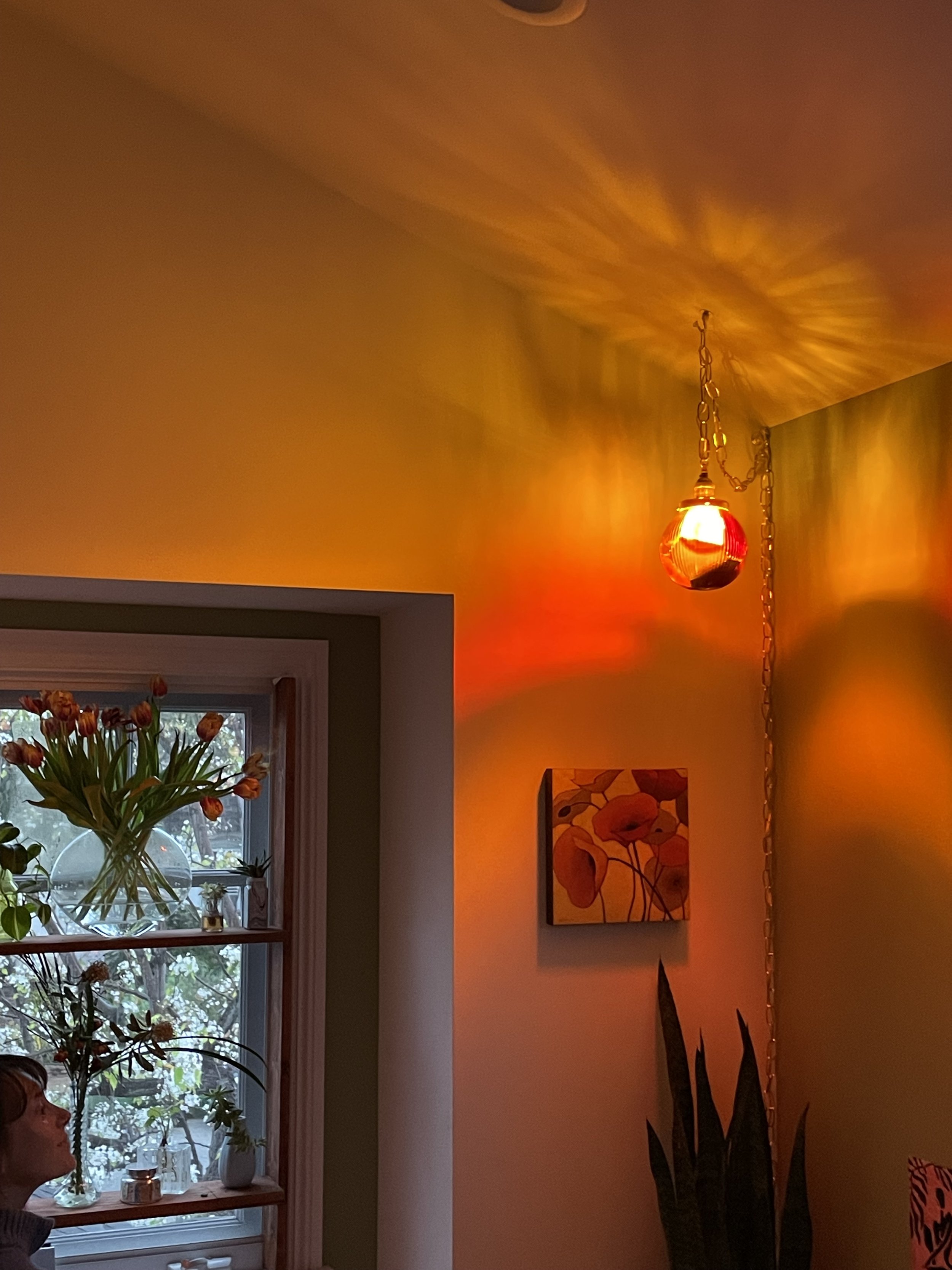 A corner of a room illuminated by a warm, orange-red hanging lamp, casting colorful shadows on the ceiling. There is a window with a vase of tulips and other plants on the windowsill, a wall with a floral painting, and a tall plant with dark green le