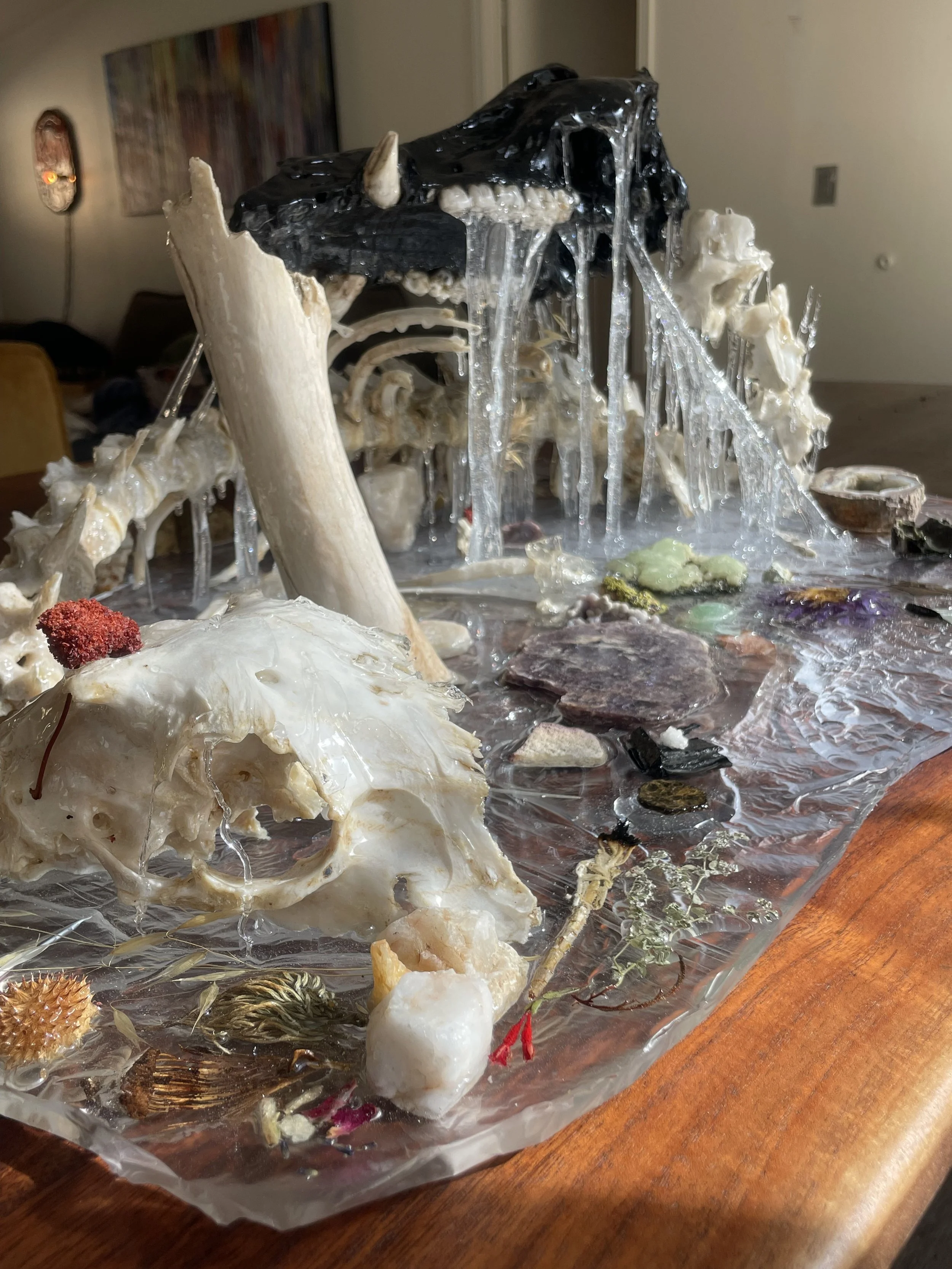 	
A mixed media art piece featuring hog bones, rocks, plants, and a bird figurine, all encased in clear resin on a wooden table near a window.
