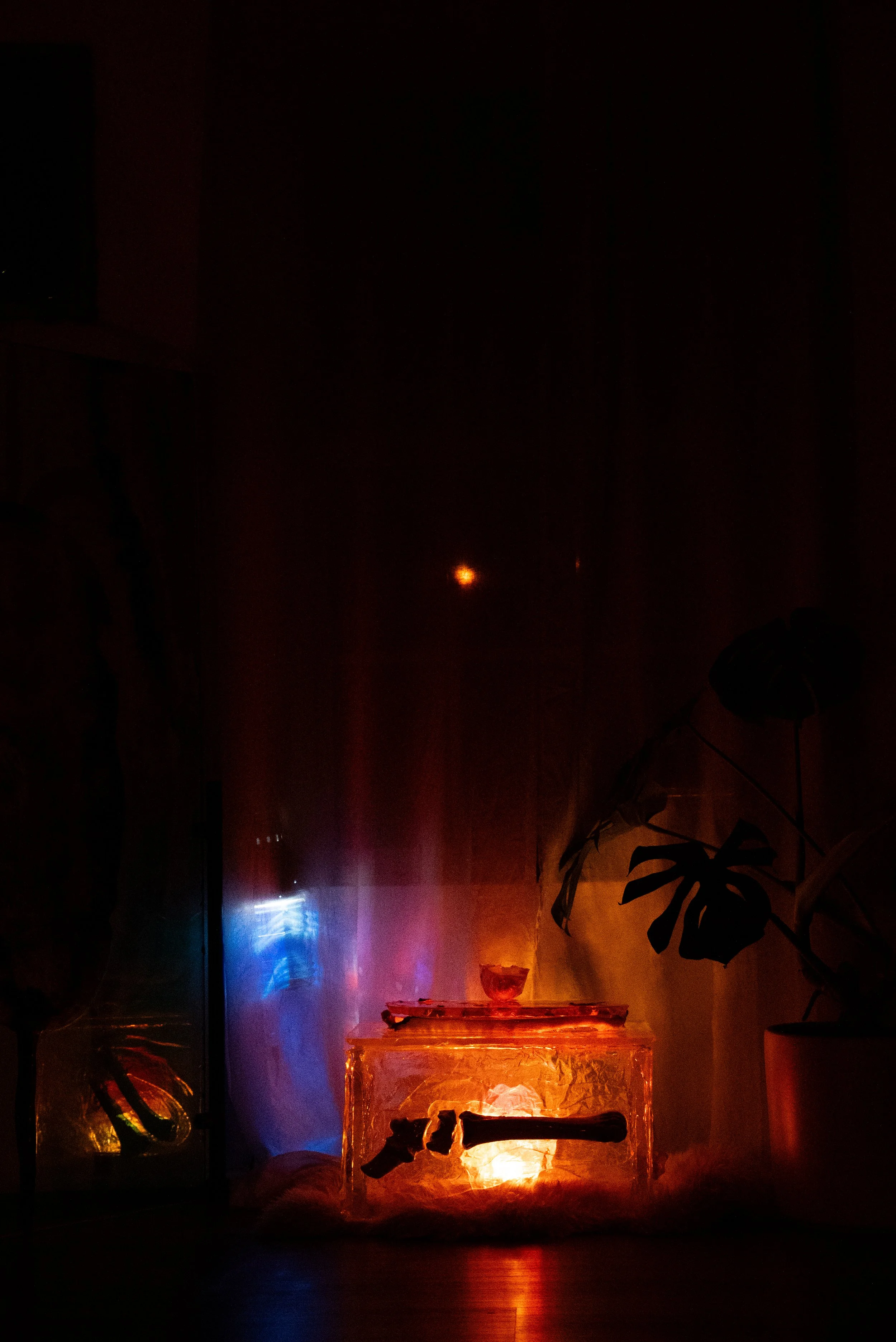 A resin block inset with cow bones and a light inside, glowing orange, with other objects on top, set in a dim room with plants and furniture, illuminated by colorful lights reflecting off nearby surfaces.