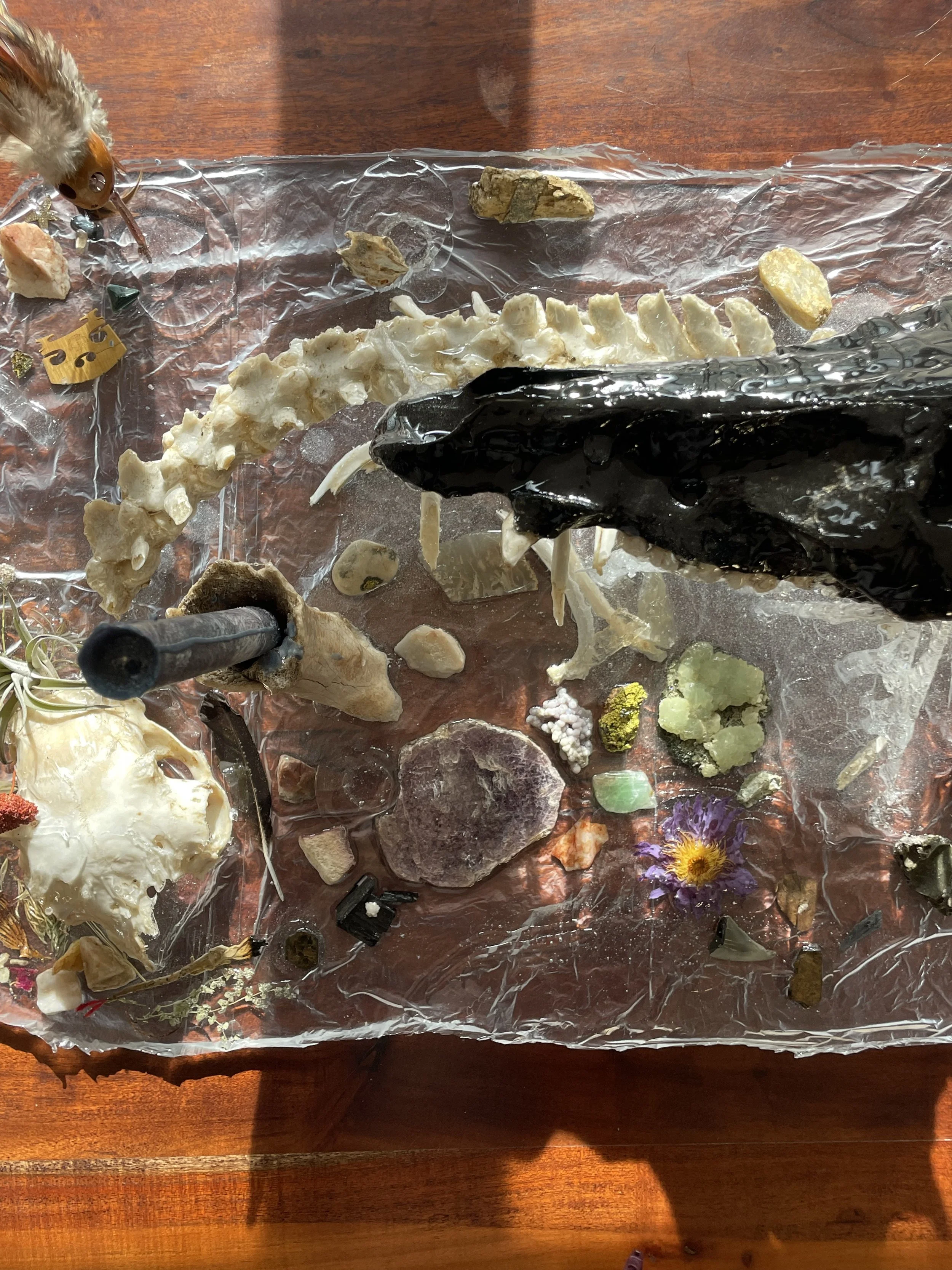 Collection of various minerals, rocks, crystals, and a dried flower arranged on a transparent resin sheet on a wooden surface.