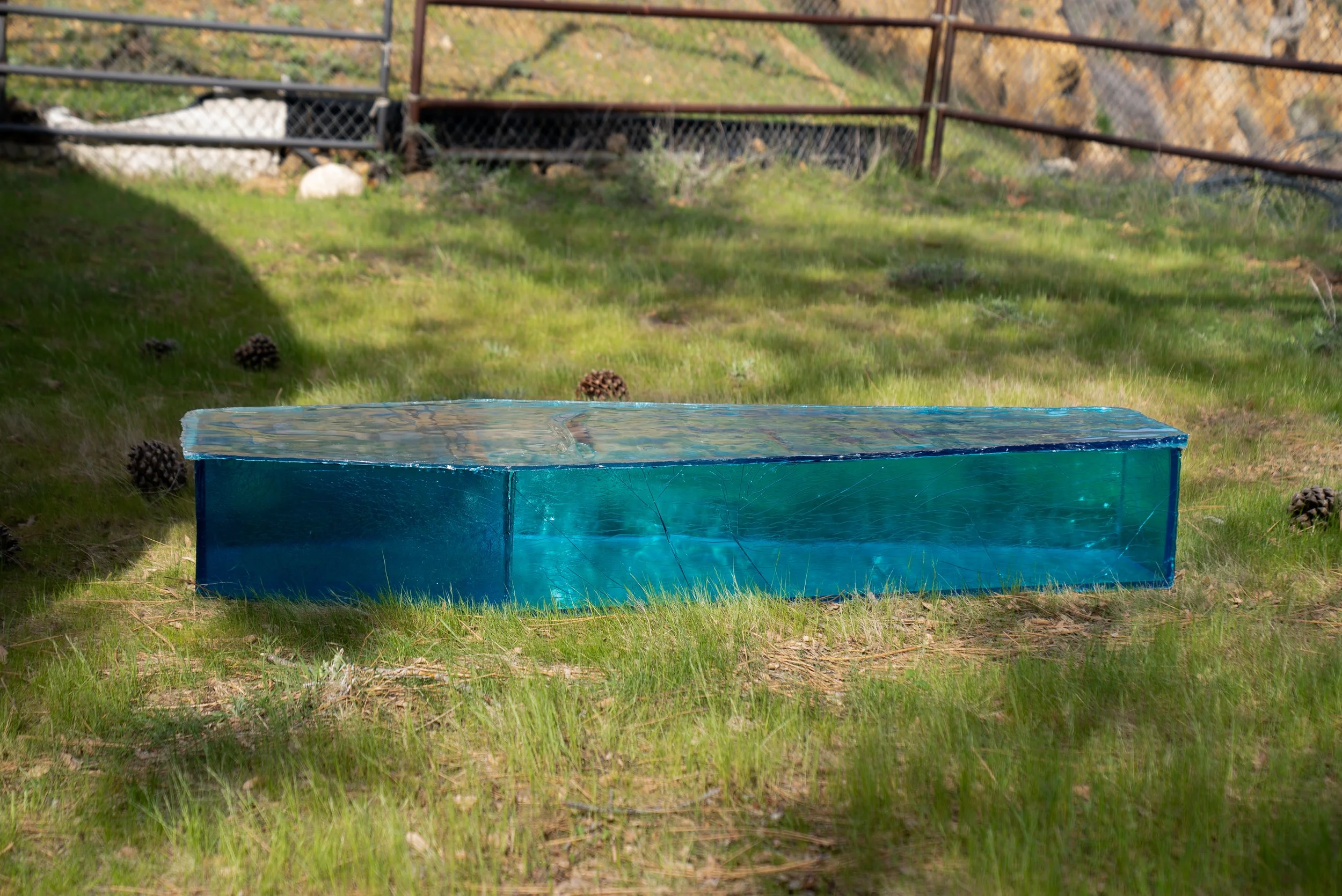 A blue resin glass-like coffin on grass, with pinecones scattered nearby, and a hill with a fence in the background.