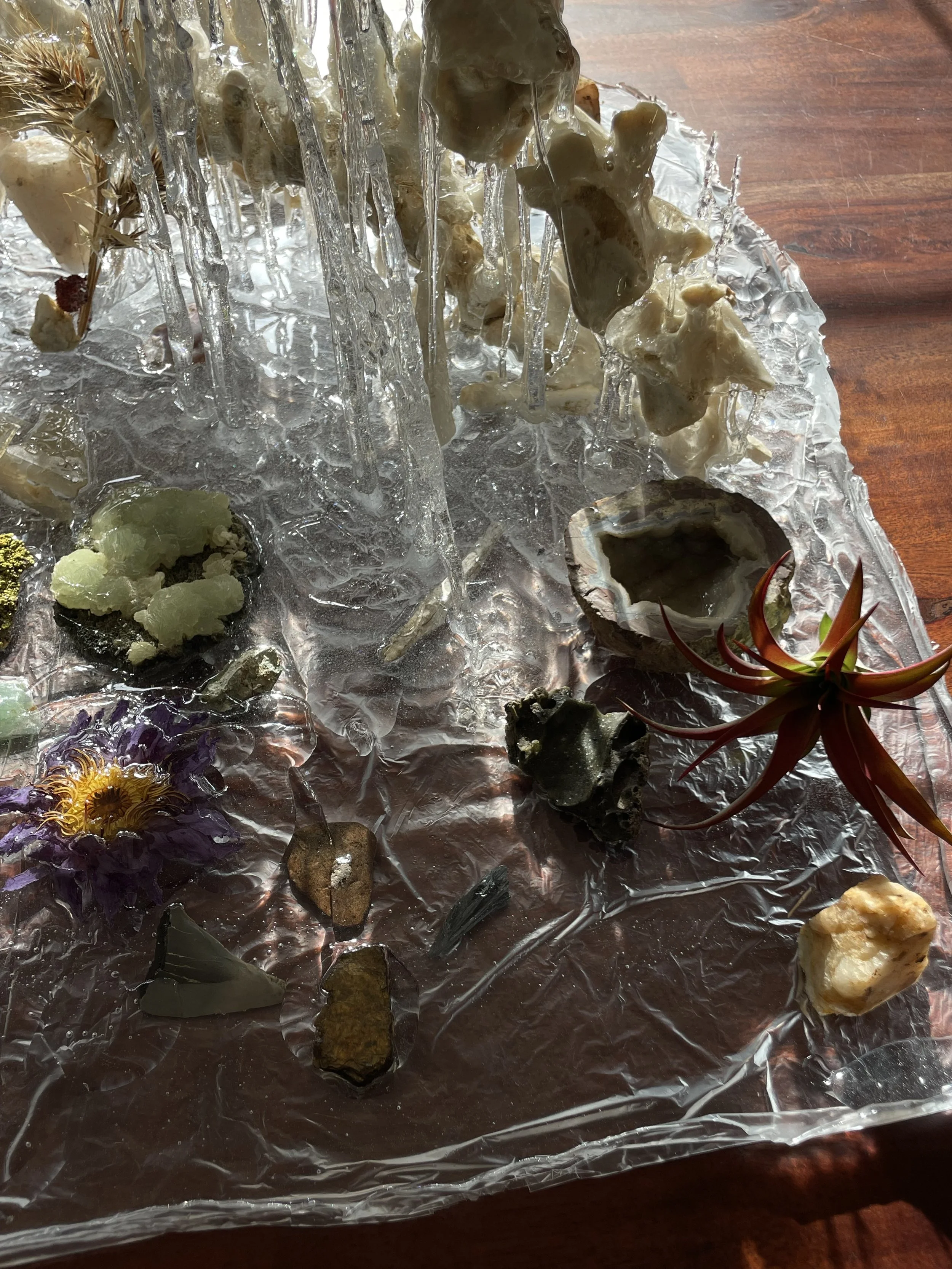 Collection of bones, minerals, rocks, and crystals displayed in resin with a wooden surface in the background.