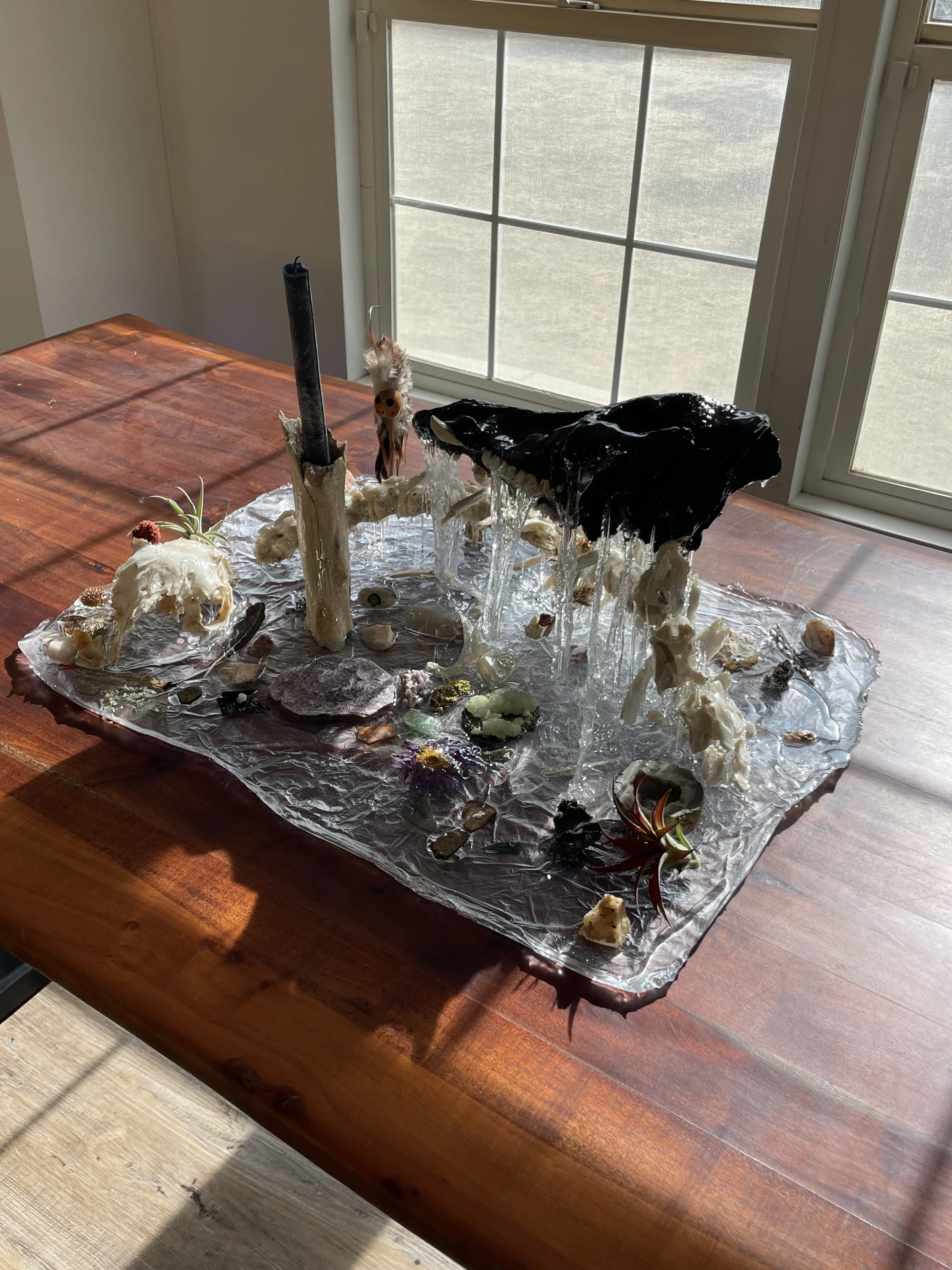 	
A mixed media art piece featuring hog bones, rocks, plants, and a bird figurine, all encased in clear resin on a wooden table near a window.
