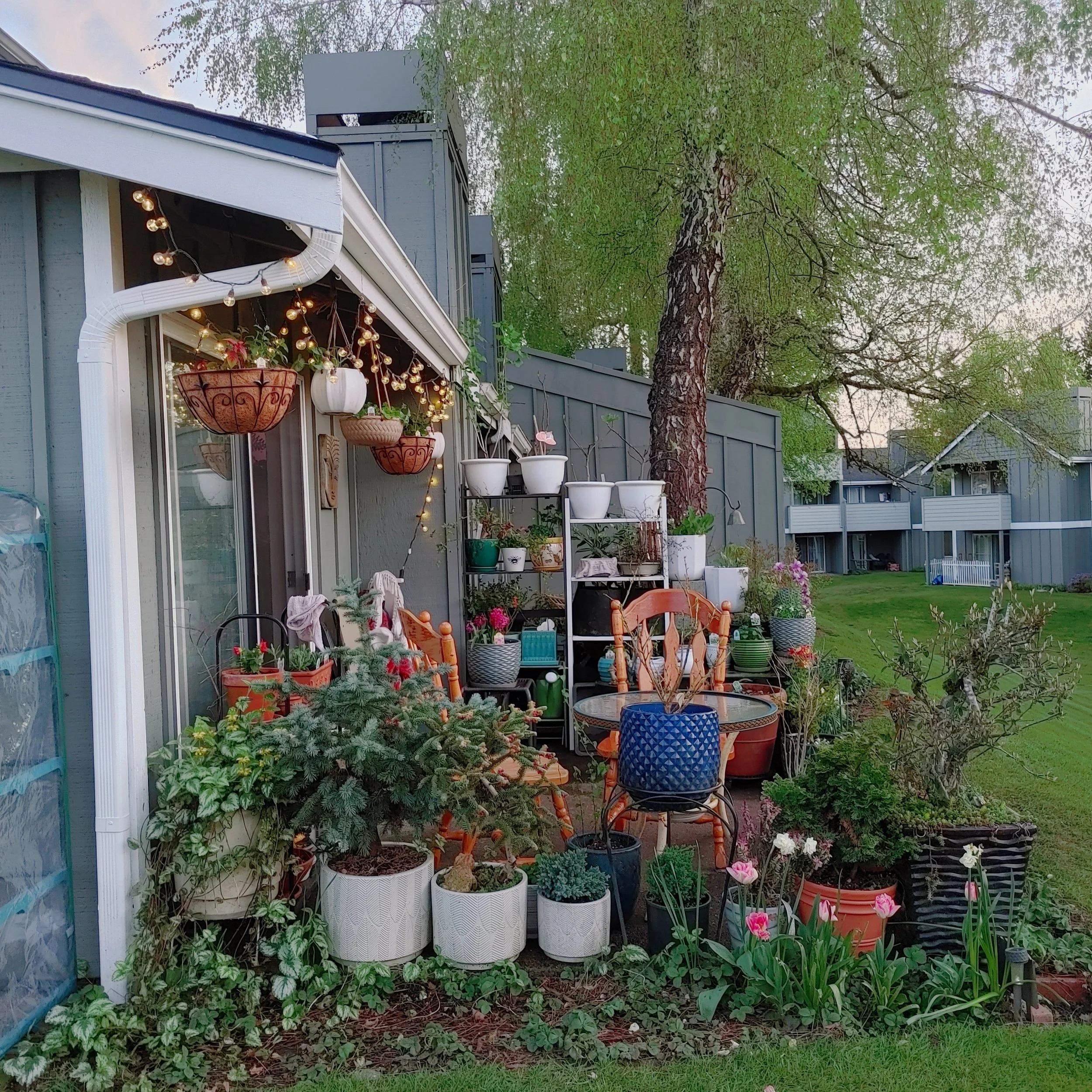 Apartment patio garden