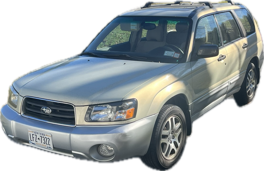 Avery + Danya's Wedding