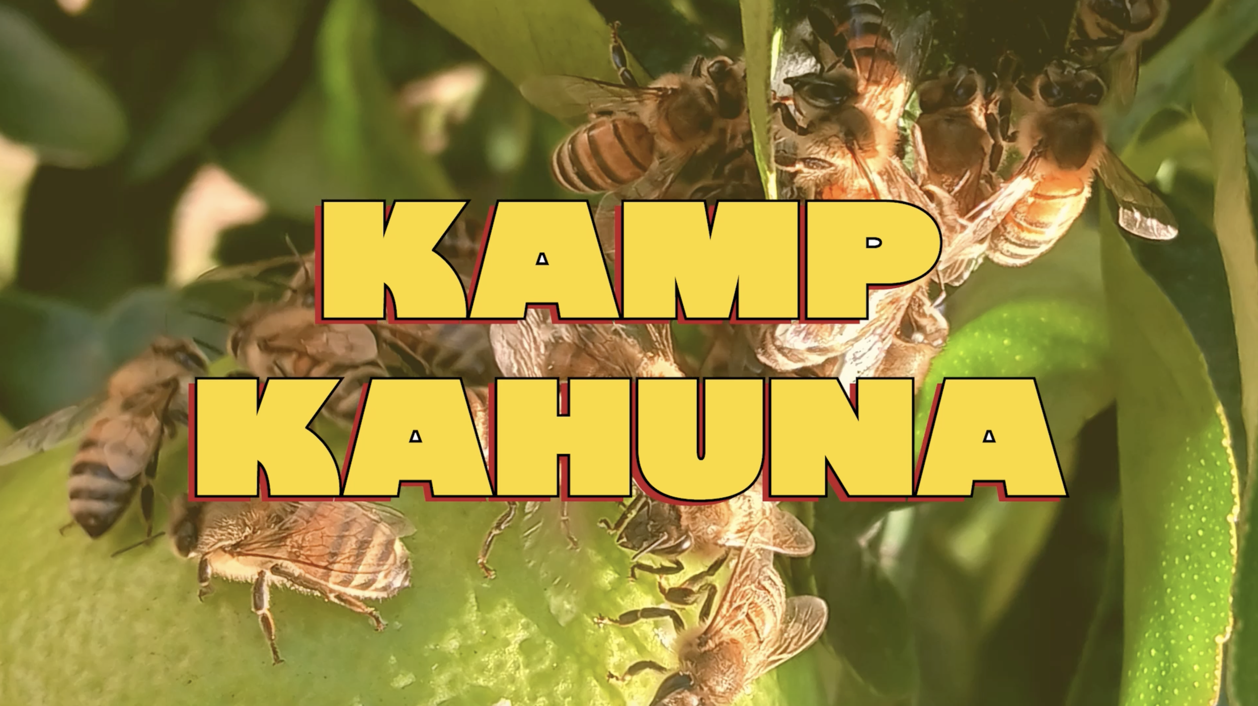 Screenshot 2026-01-30 at 4.05.21 PM.png