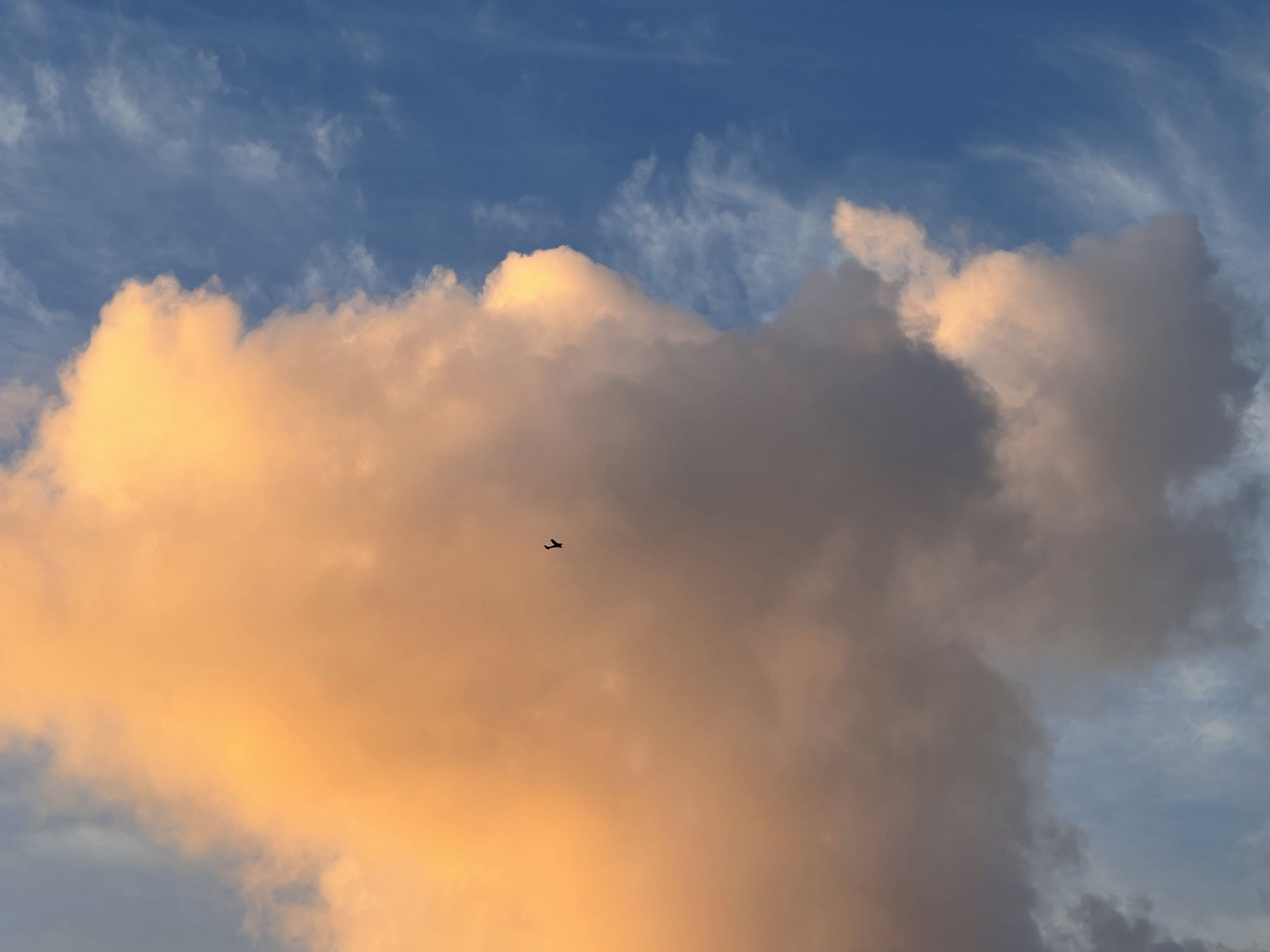 IMG_5620 copy.jpg