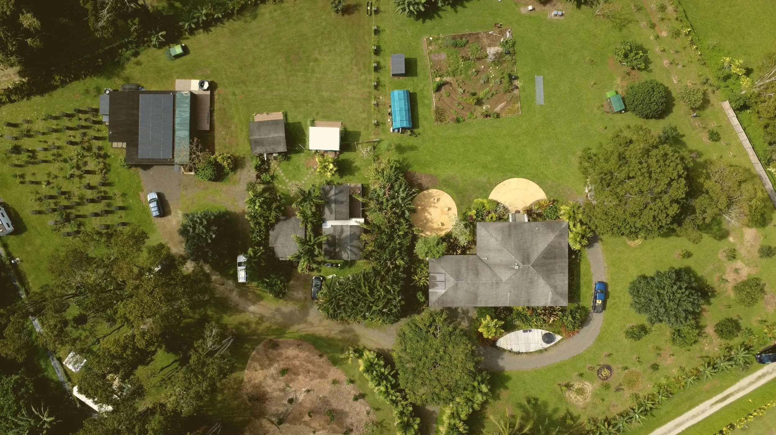 aerial.jpg