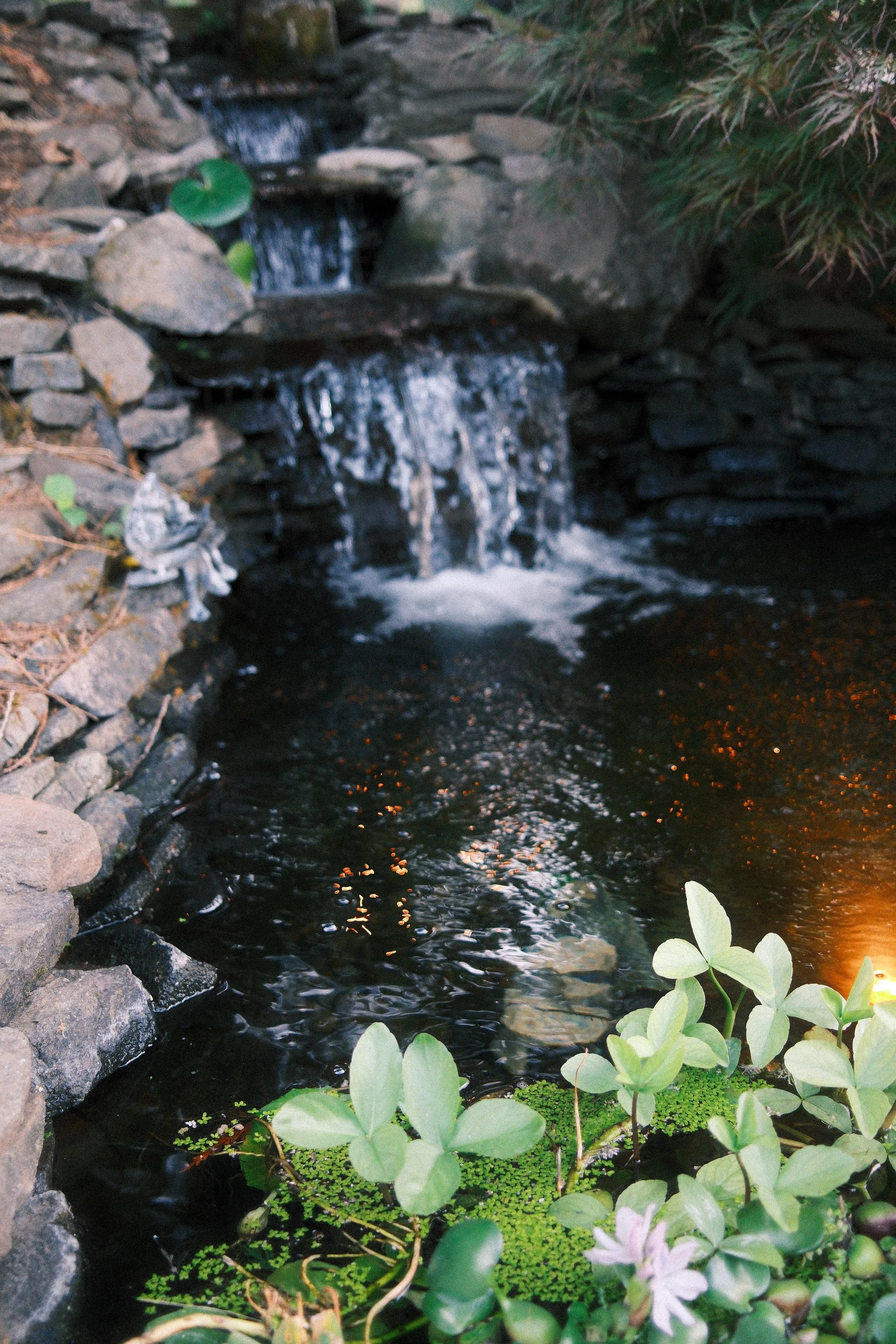 logan water feature.JPEG