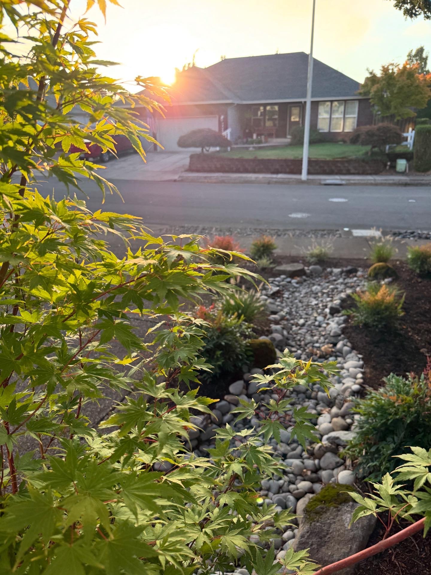 Mahar dry creek.JPEG