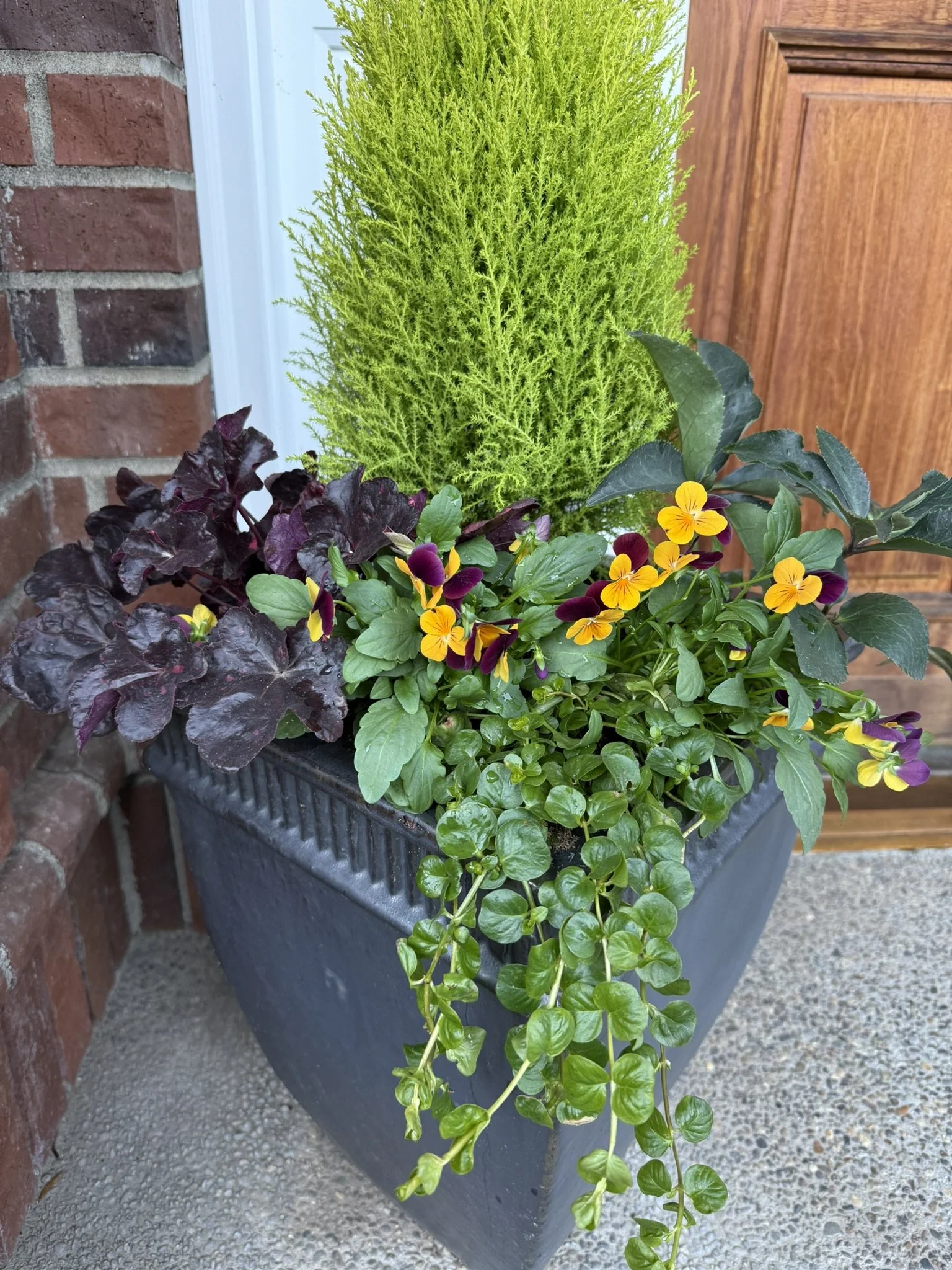 fuller container.JPEG