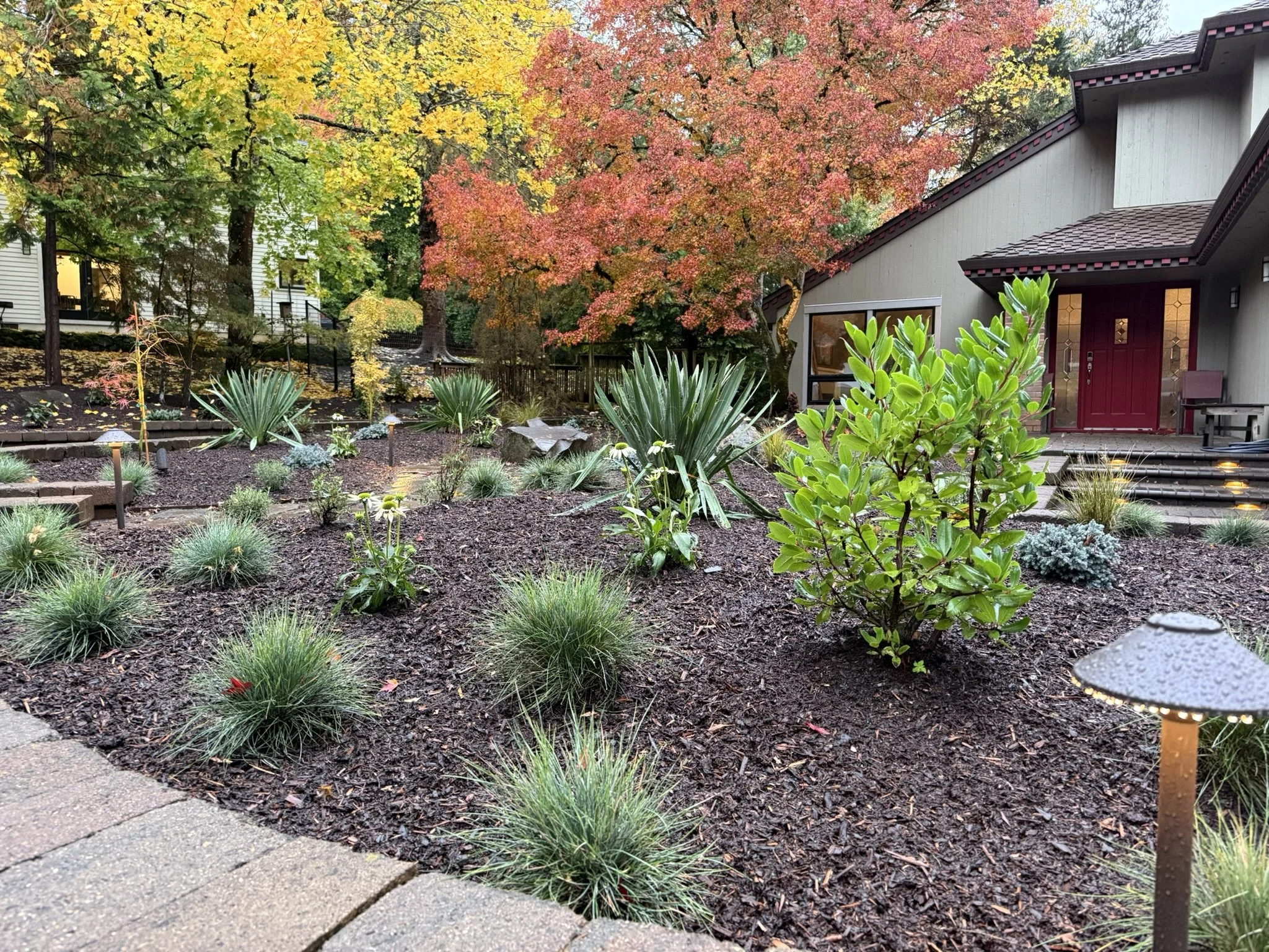 Tamaway low maintenance front.JPEG