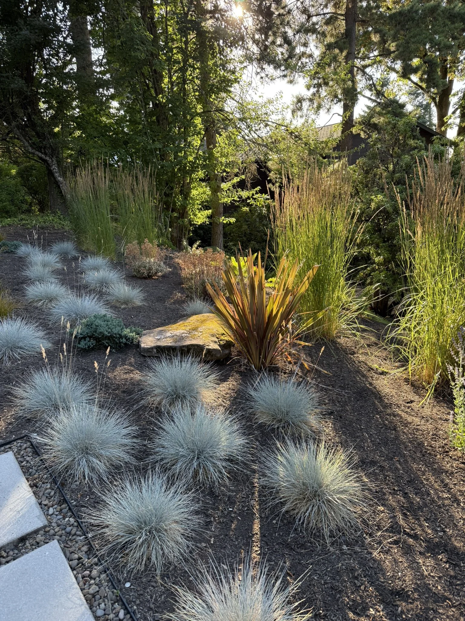 McDowell grasses.JPEG