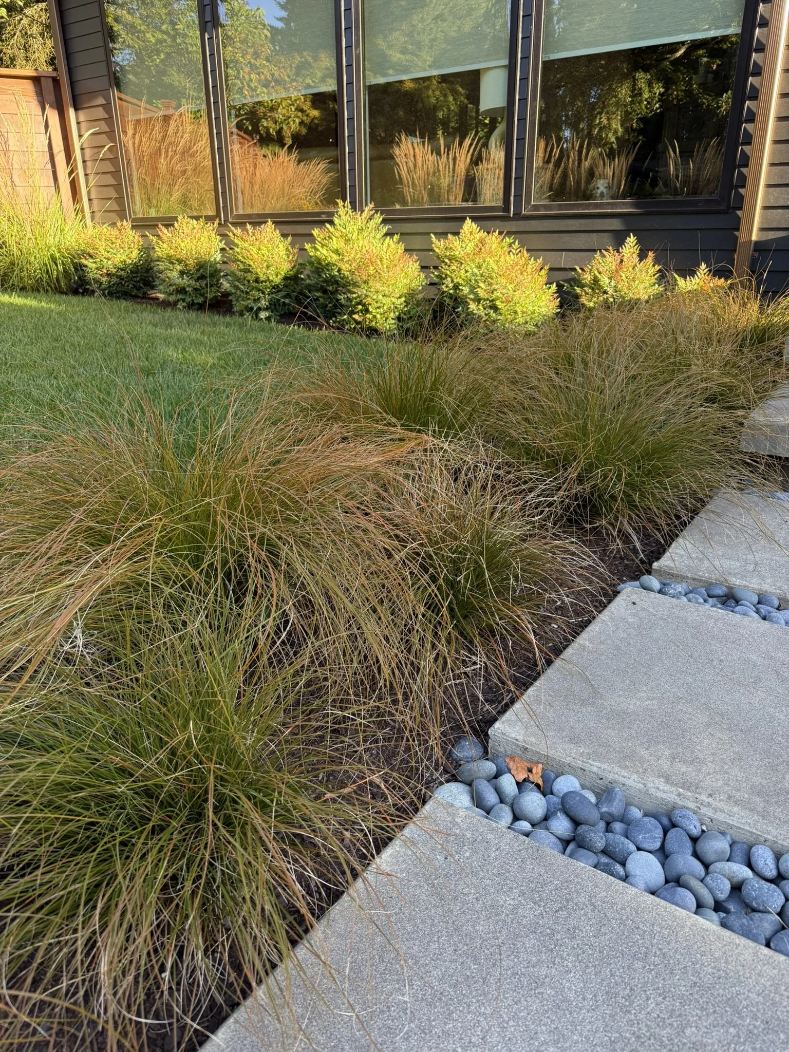 Gonzalez grass detail.JPEG