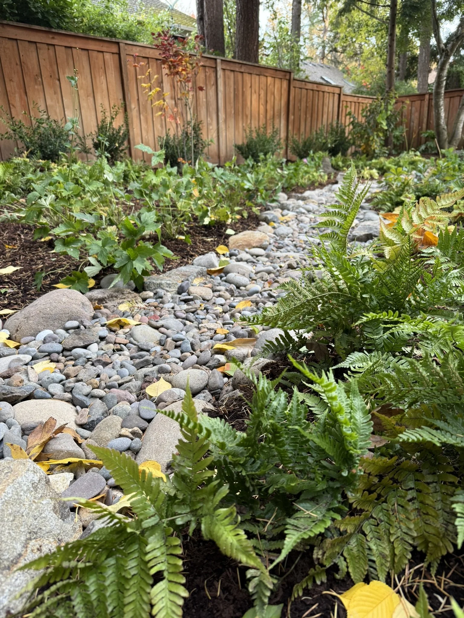 Slickers dry creek.JPEG