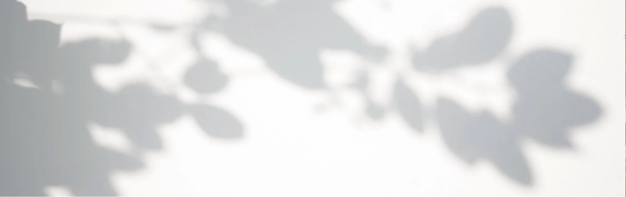 Sunlight casting leaf-shaped shadows on a surface.